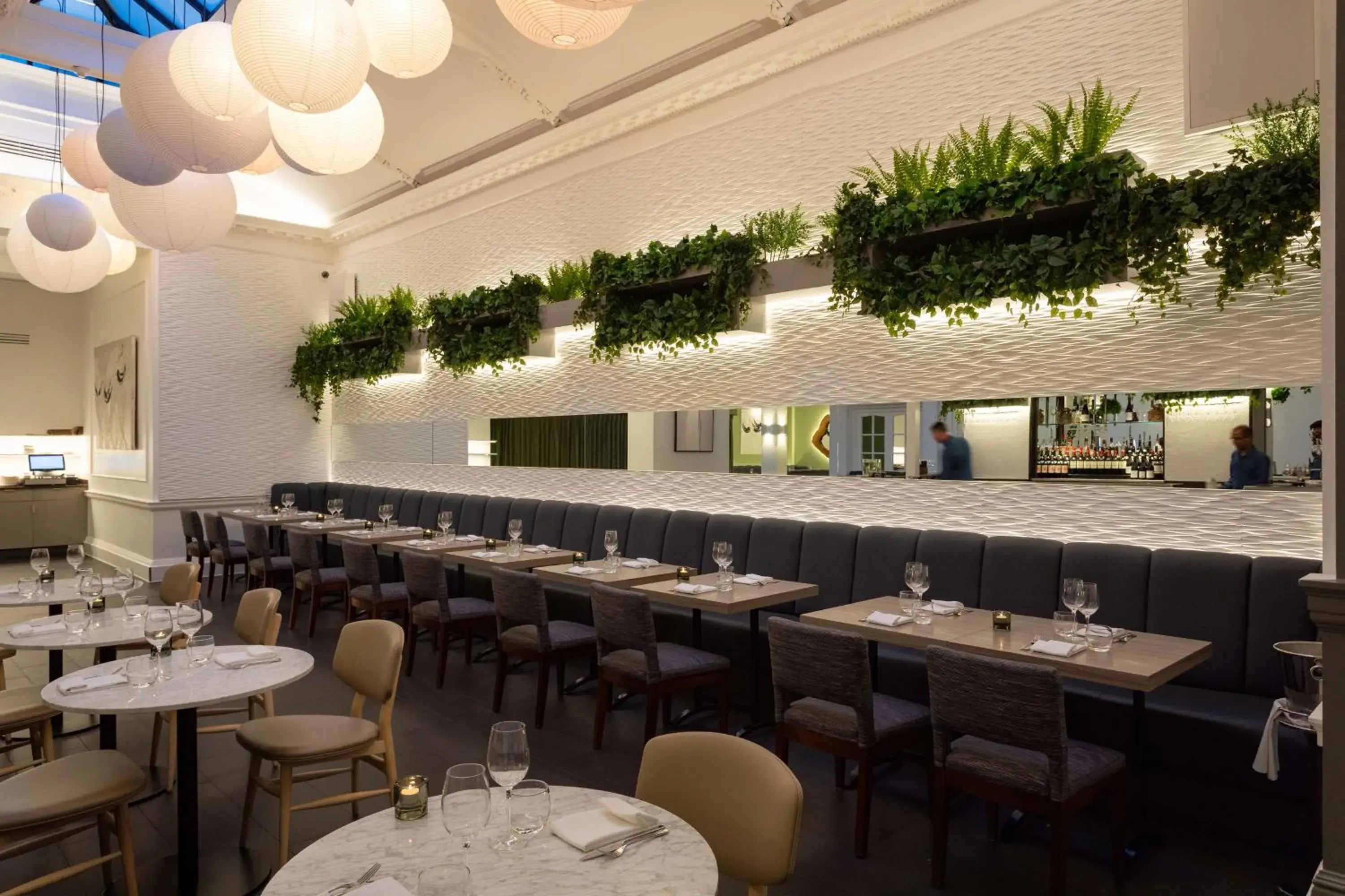 Restaurant/places to eat in Radisson Blu Edwardian Grafton Hotel, London Restaurant/places to eat in Radisson Blu Edwardian Grafton Hotel, London