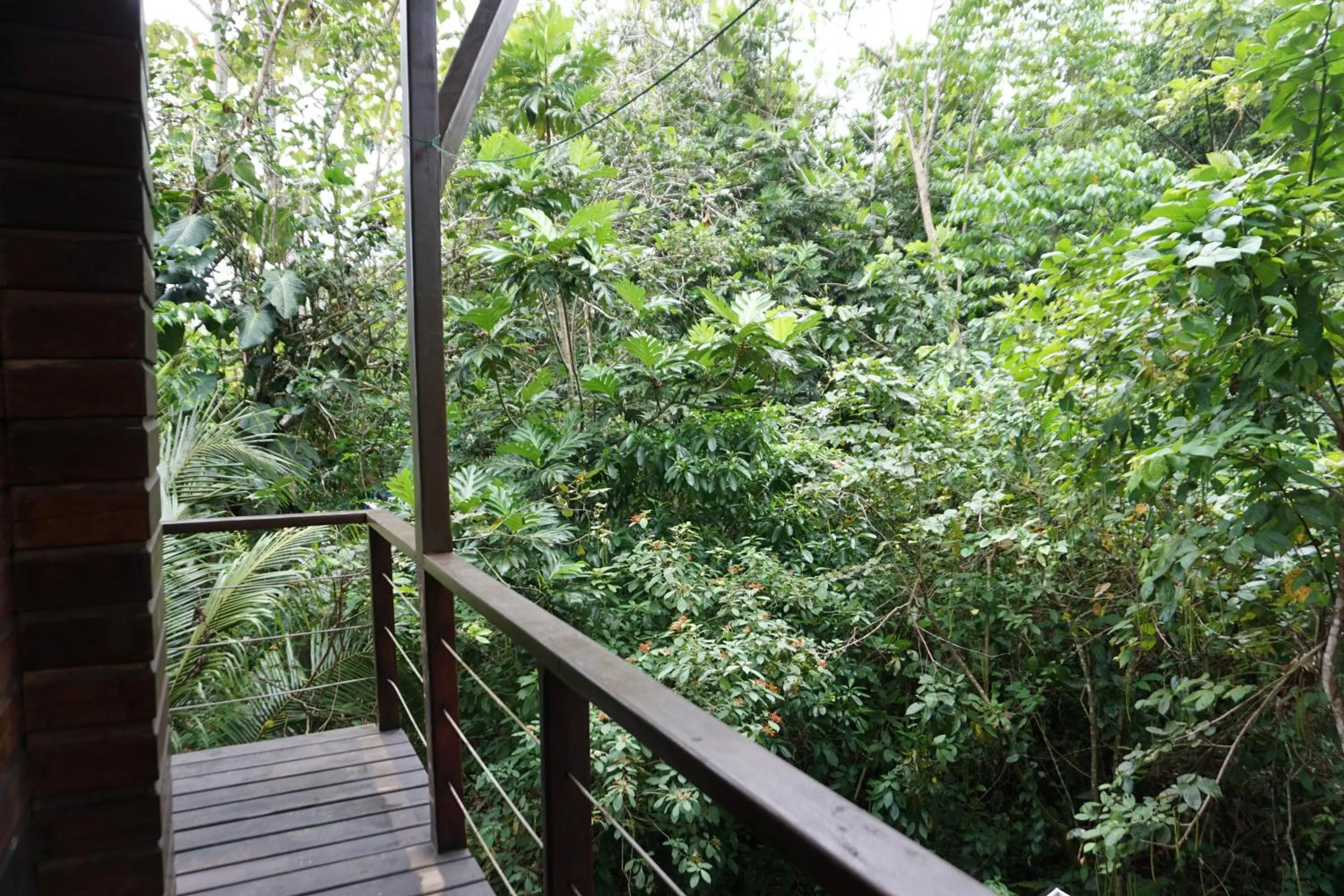 Balcony/Terrace in Oasis Bluff Beach