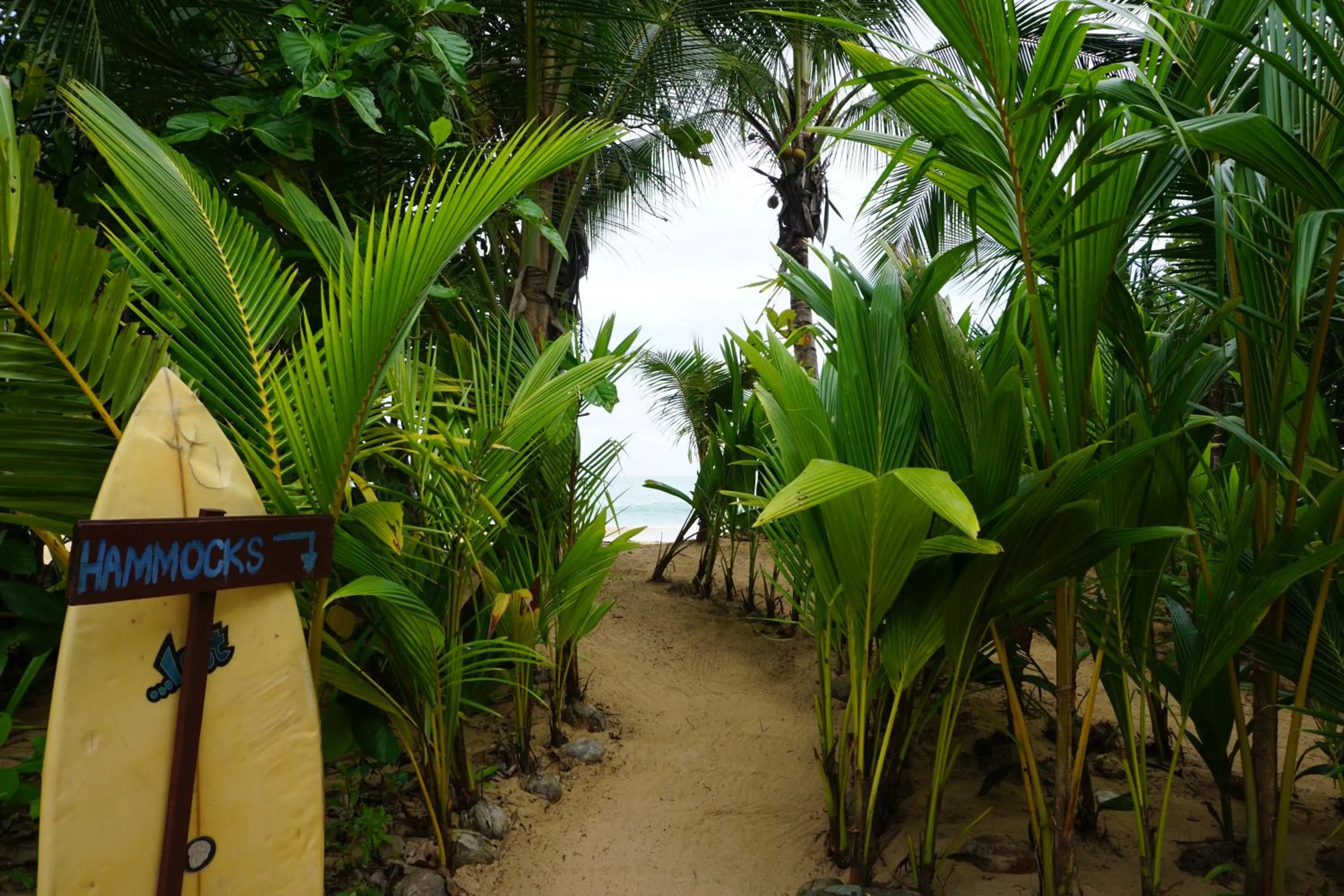 Beach in Oasis Bluff Beach