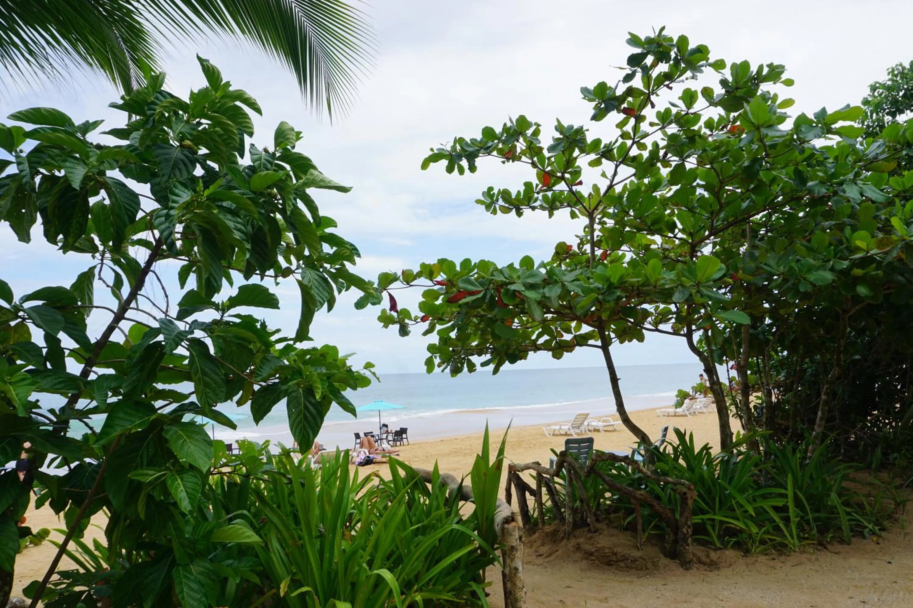 Beach in Oasis Bluff Beach