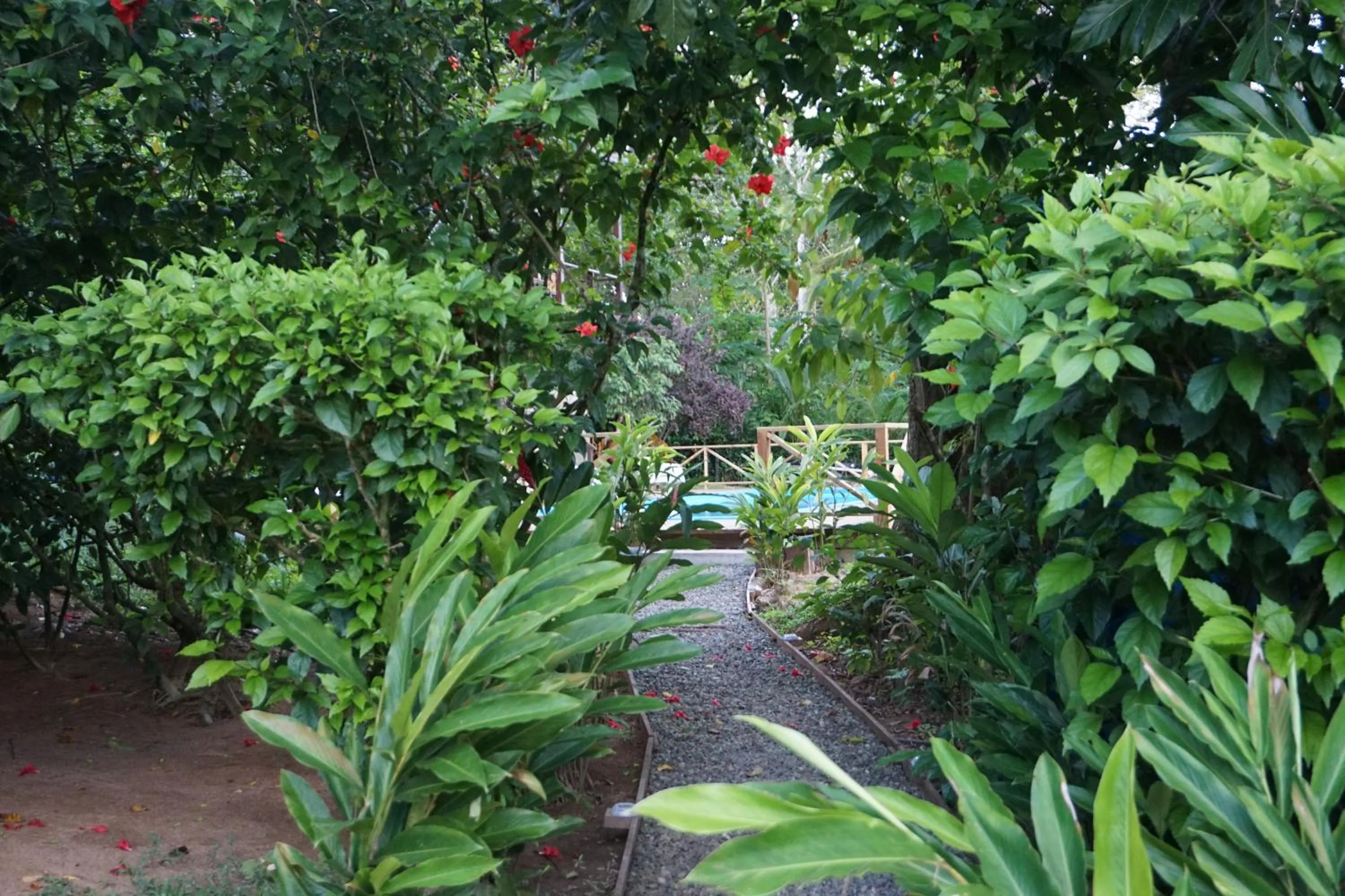 Area and facilities in Oasis Bluff Beach