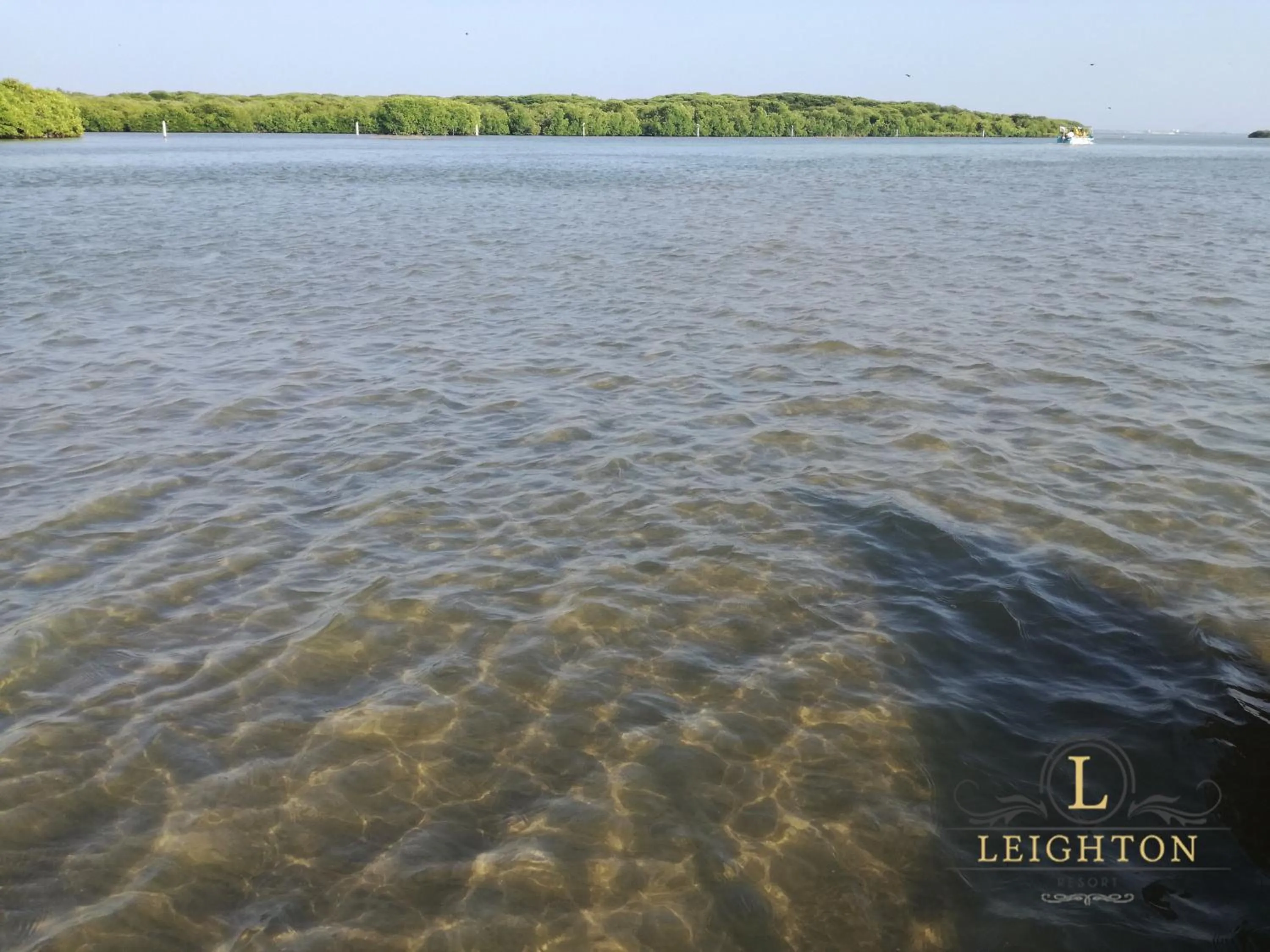 People in Leighton Resort