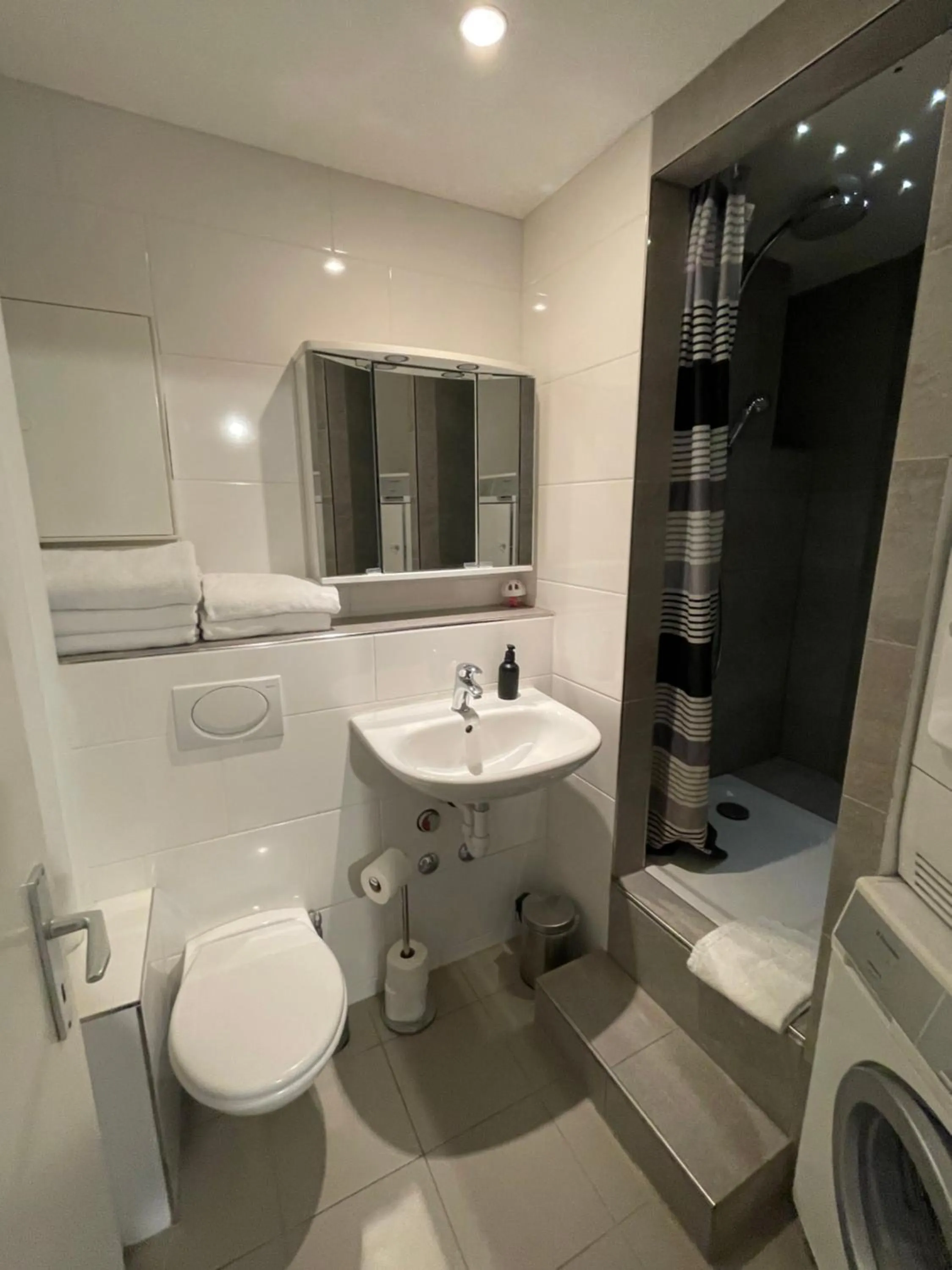 Toilet in Berger Zentrum