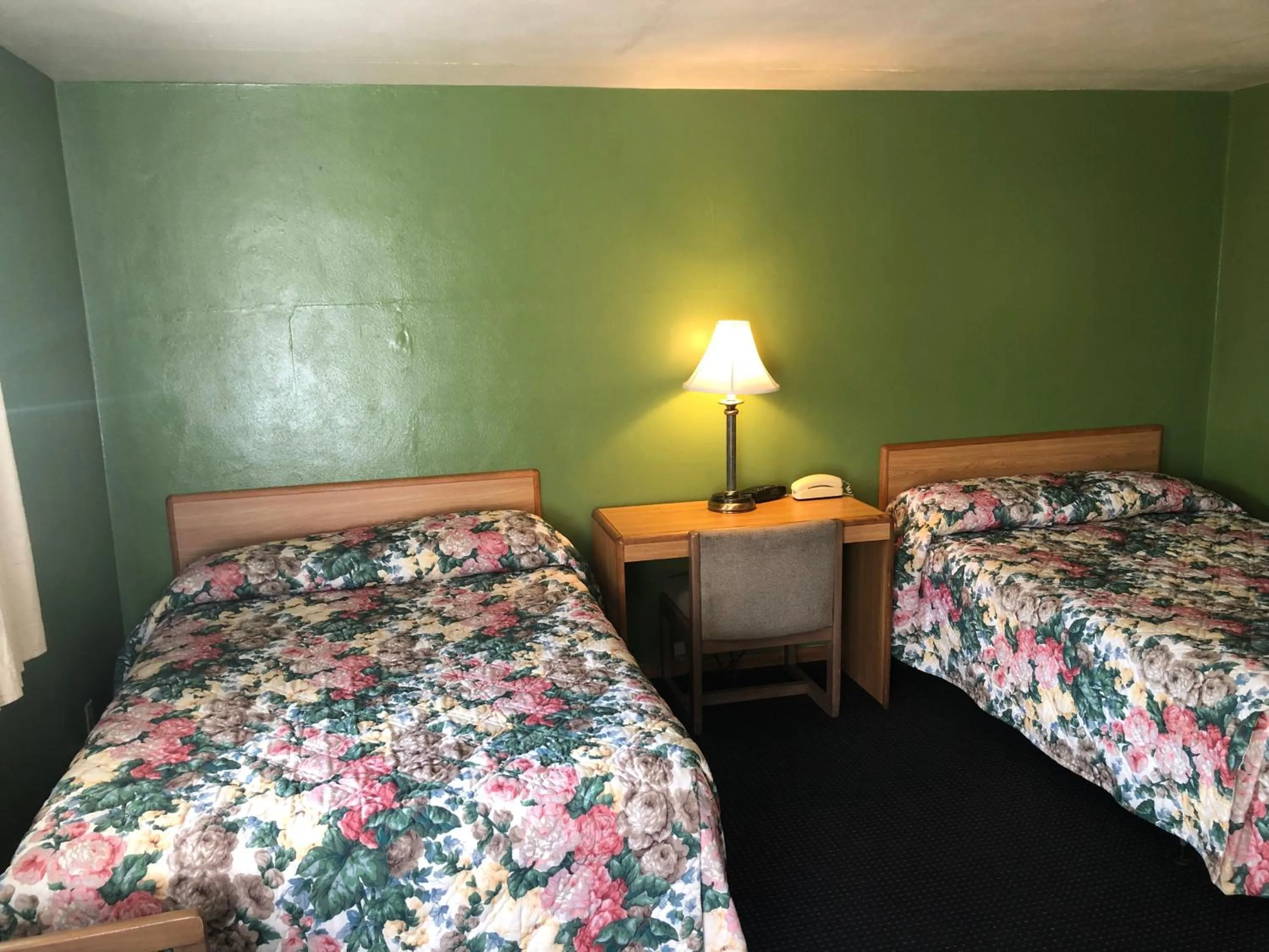 Deluxe Double Room in Parkway Motel