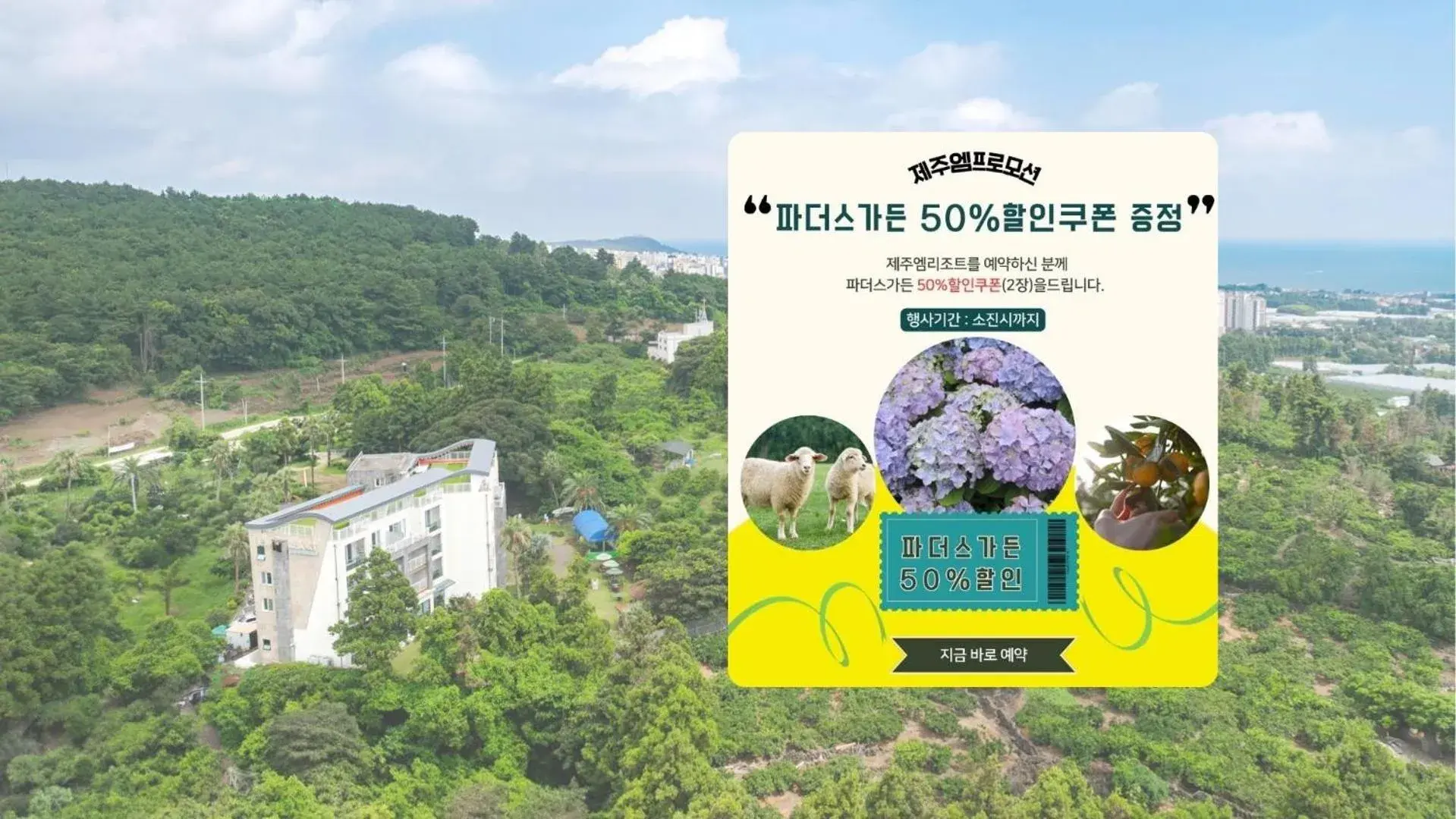 Property building in Jeju M Resort Property building in Jeju M Resort