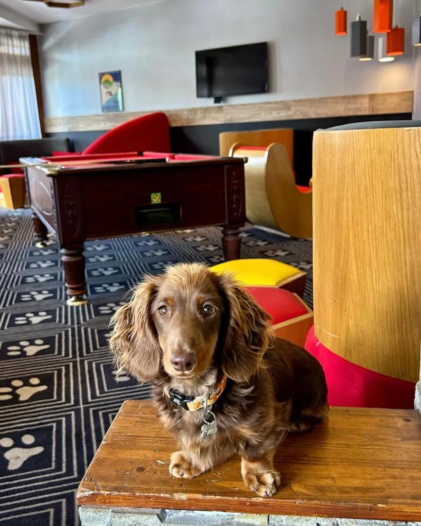 Billiard in Royal Ours Blanc Boutique Hôtel & Spa