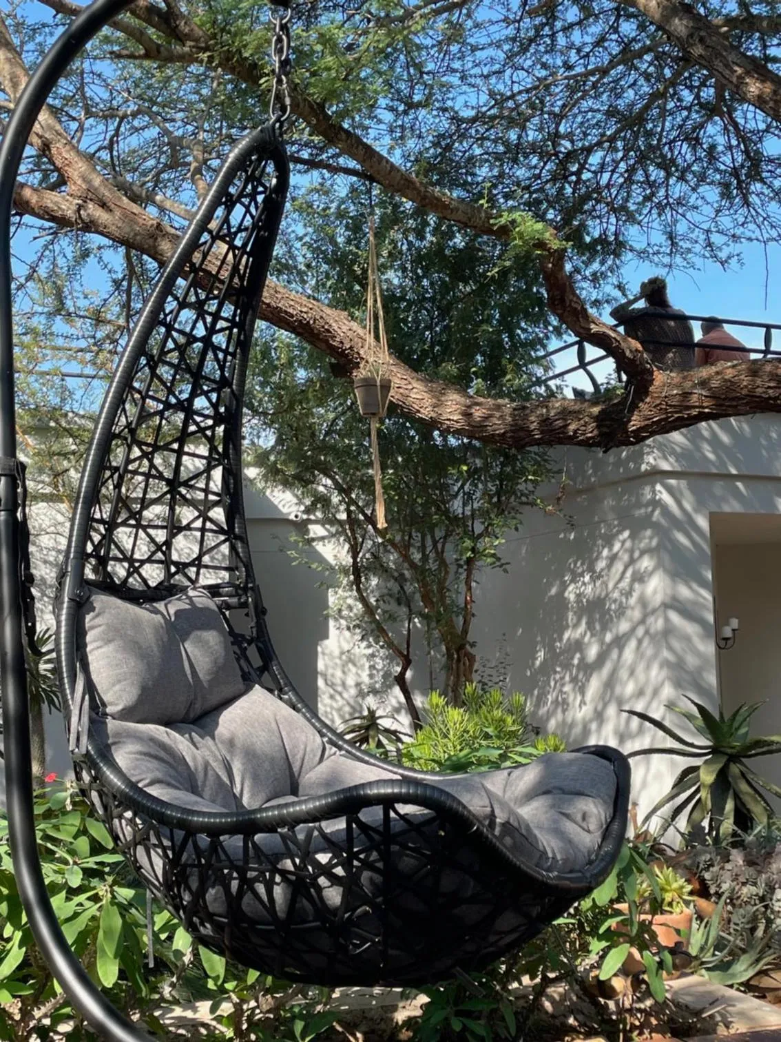 Garden in Switsongo B&B