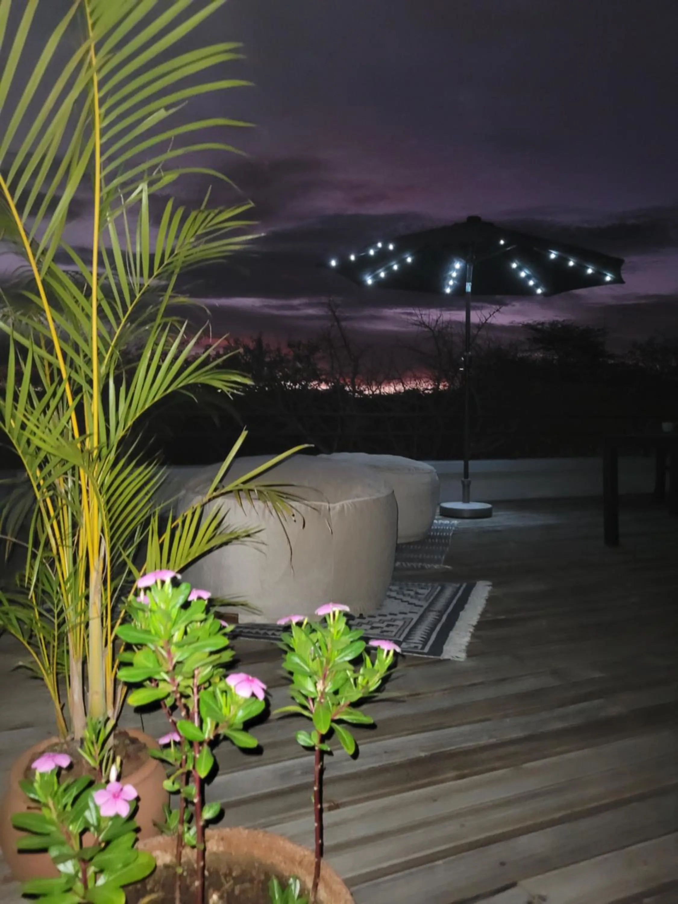 Night in Switsongo B&B