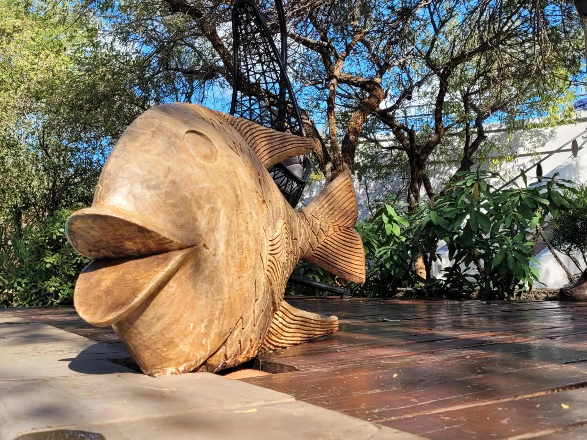 Garden in Switsongo B&B