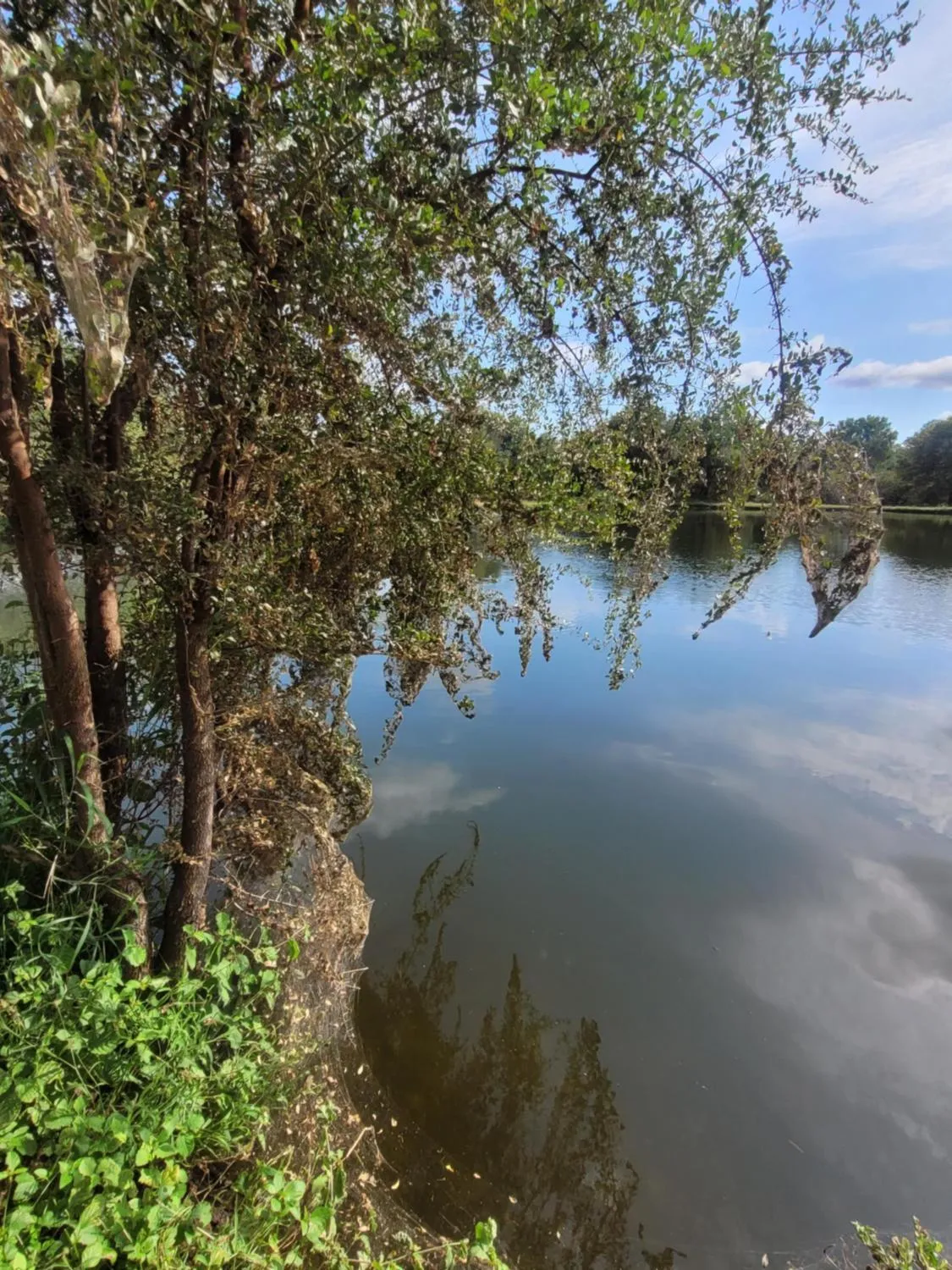 Natural landscape in Switsongo B&B