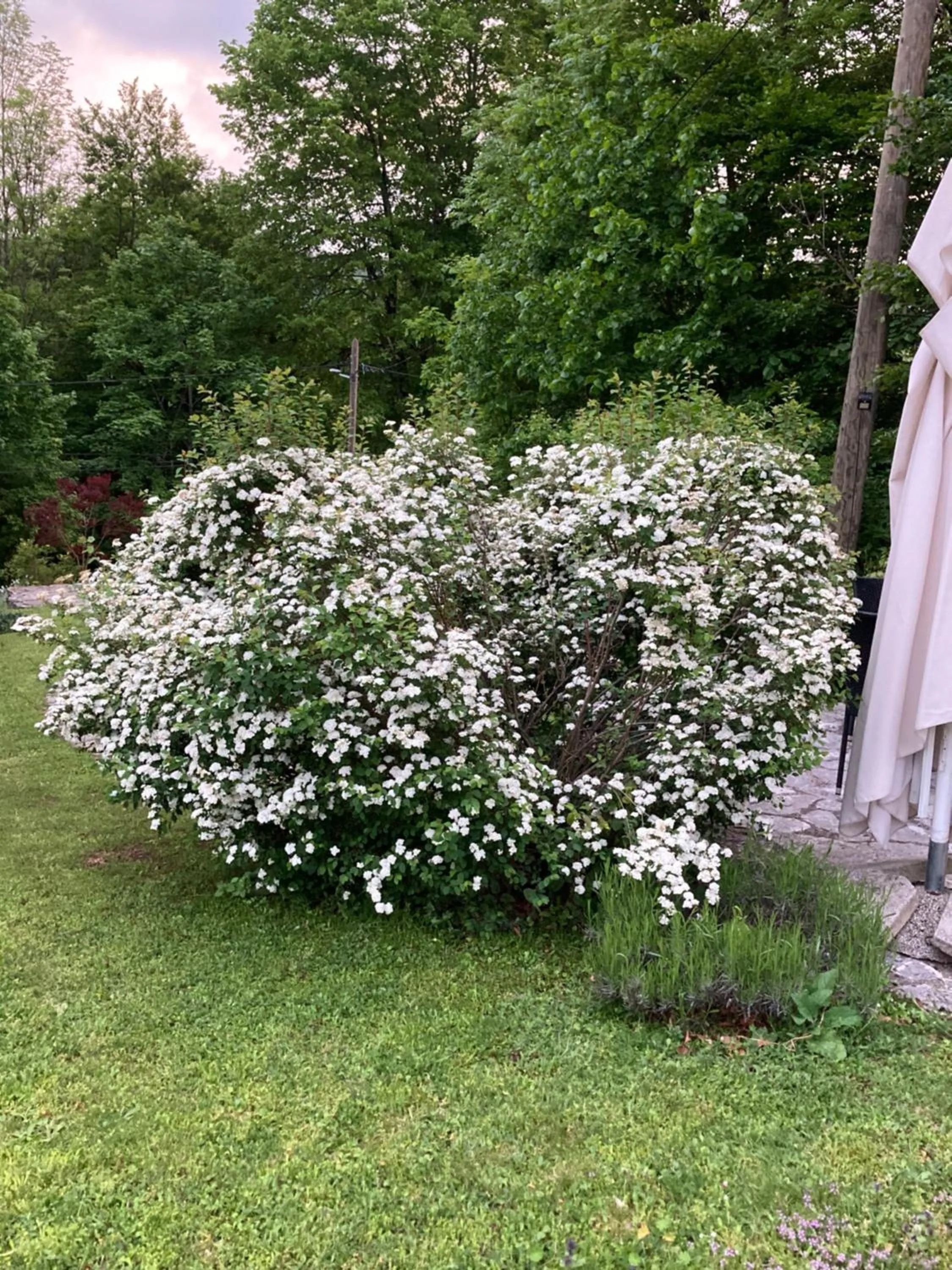 View (from property/room) in Villa Lykos Plitvice