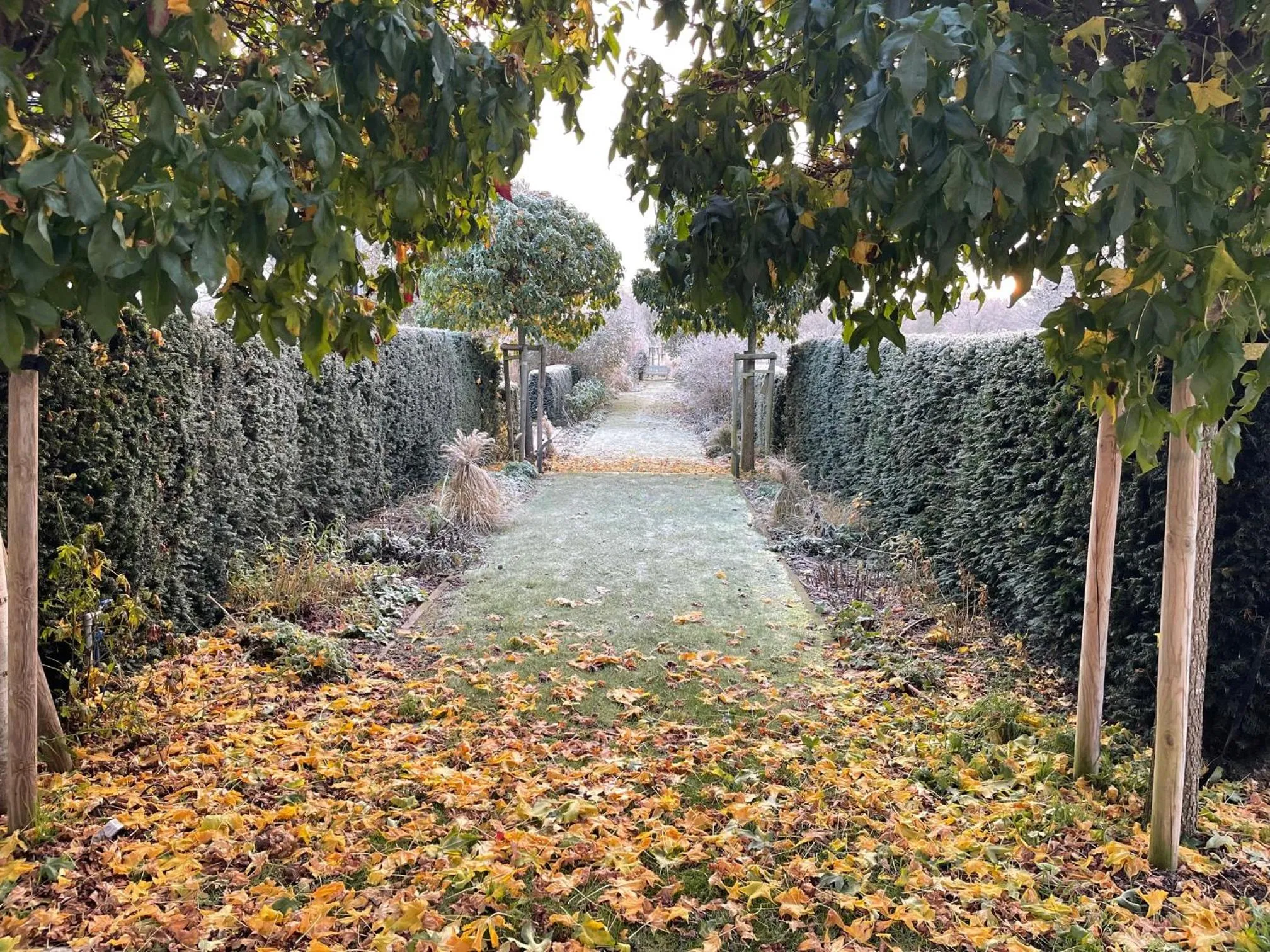Garden in Alwine - Landhaus an den Spreewiesen