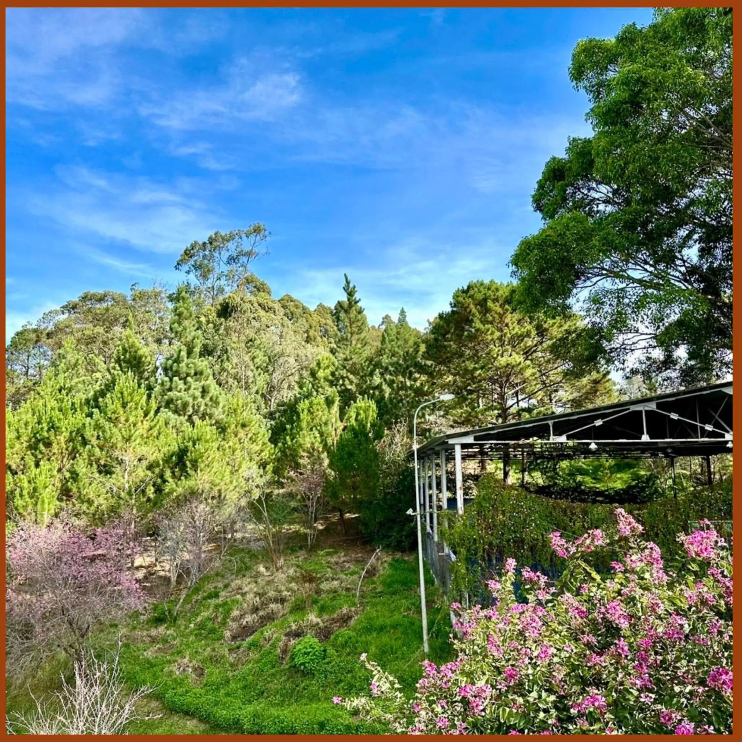 Garden view in Nam Xuan Premium Hotel