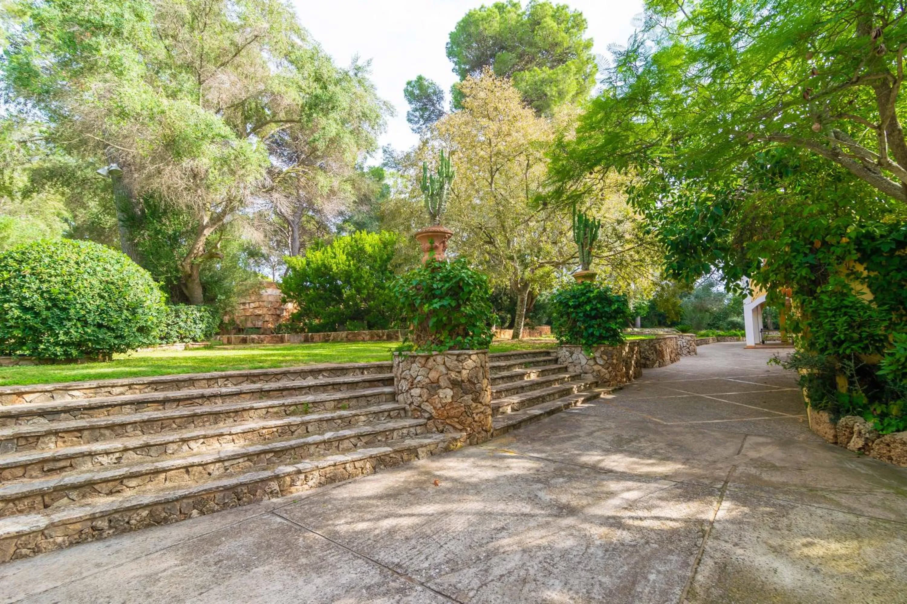 Garden in Finca Son Pou