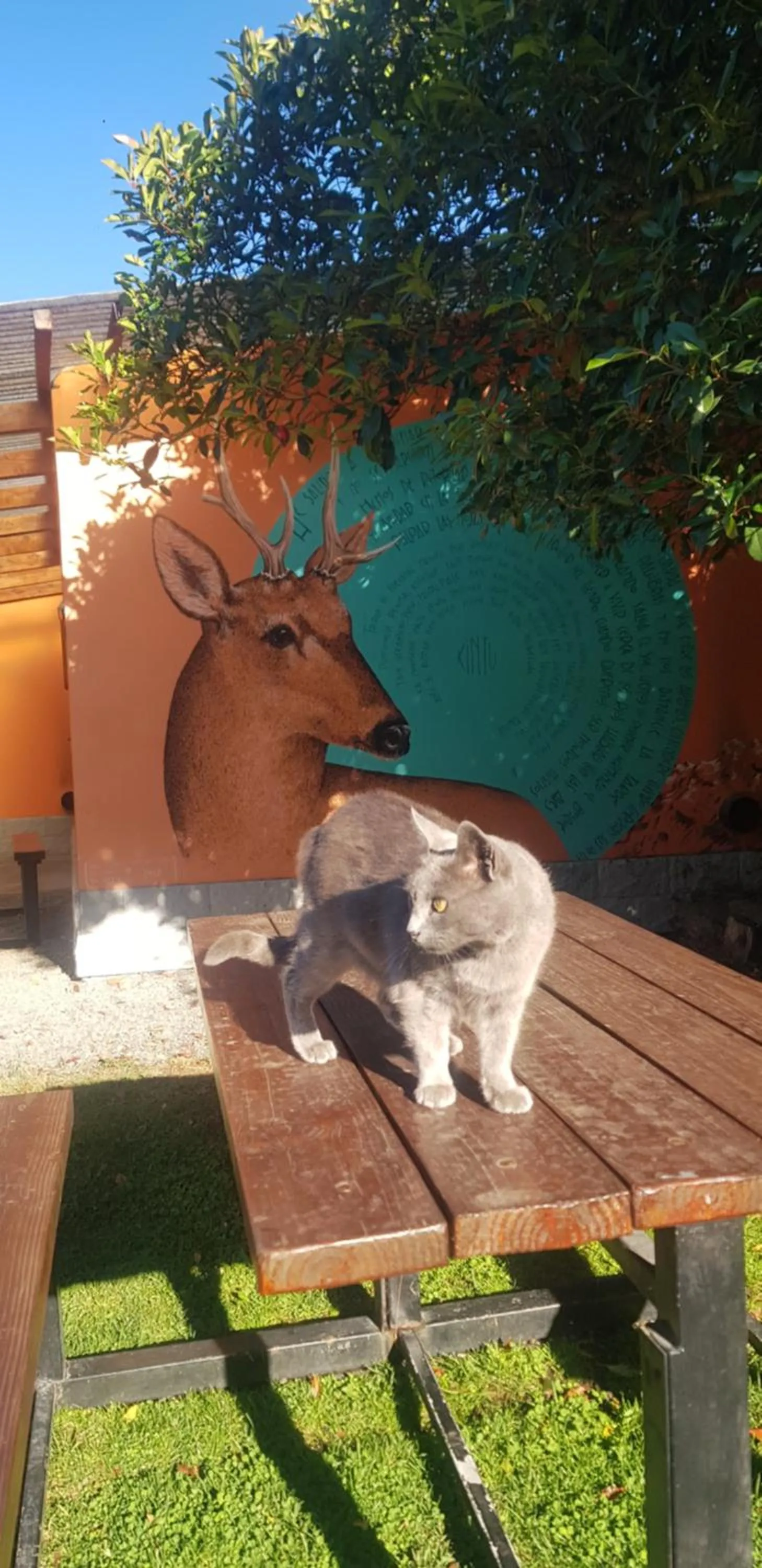 Day in La Estacion Hostel
