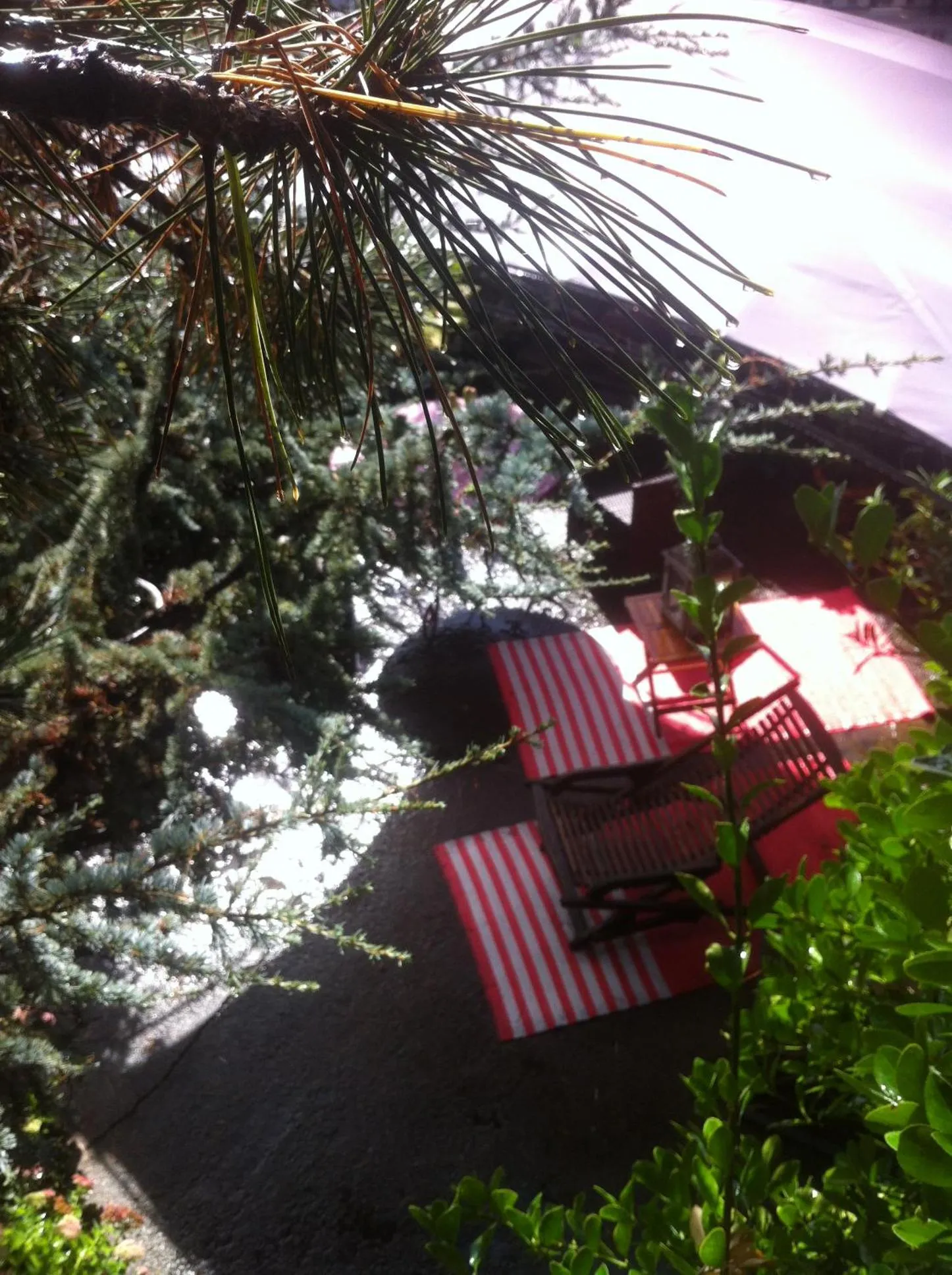 Balcony/Terrace in Les chambres du Chat Perché
