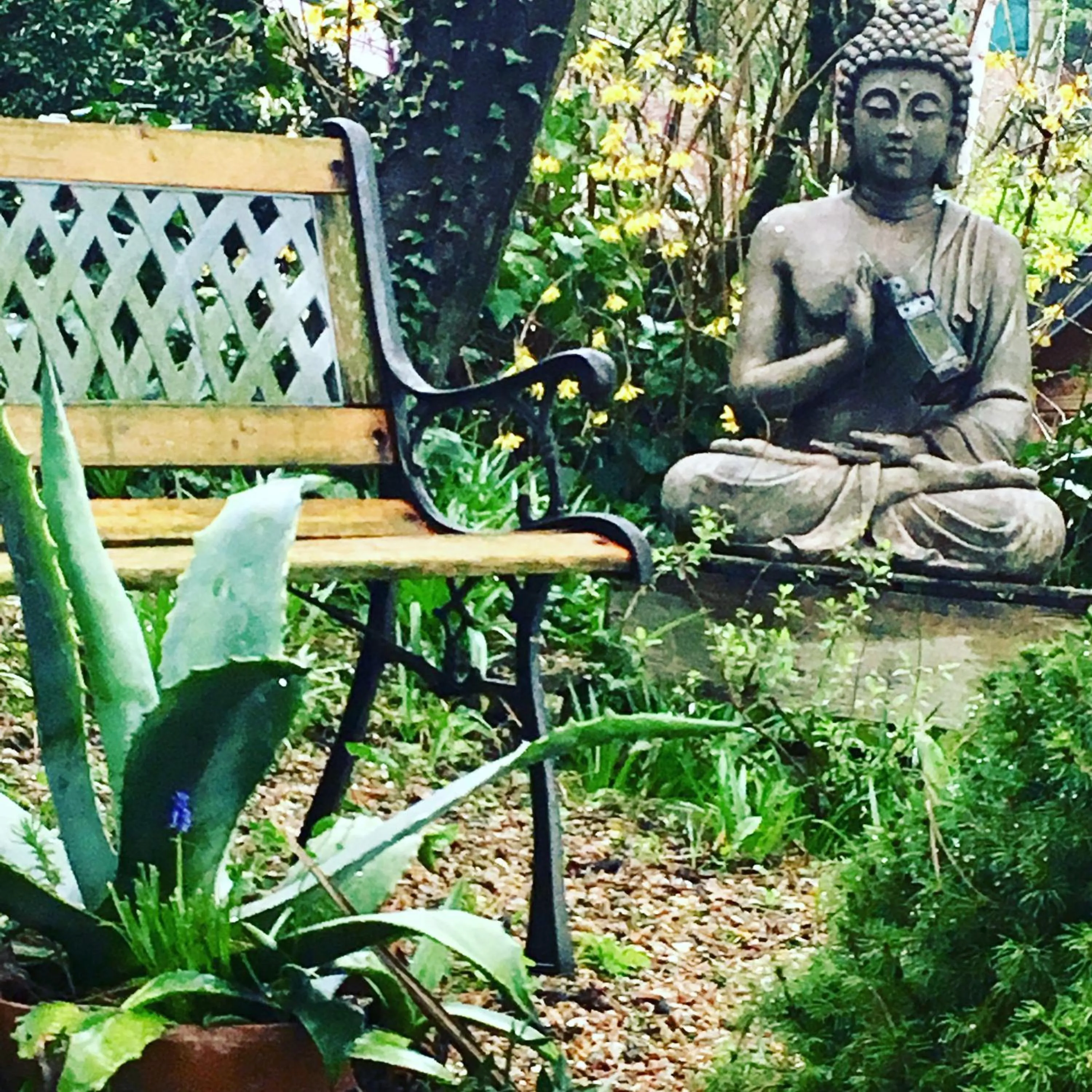 Garden in Les chambres du Chat Perché