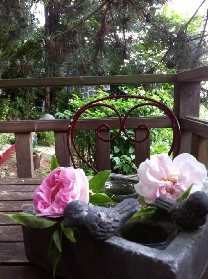 Les chambres du Chat Perché