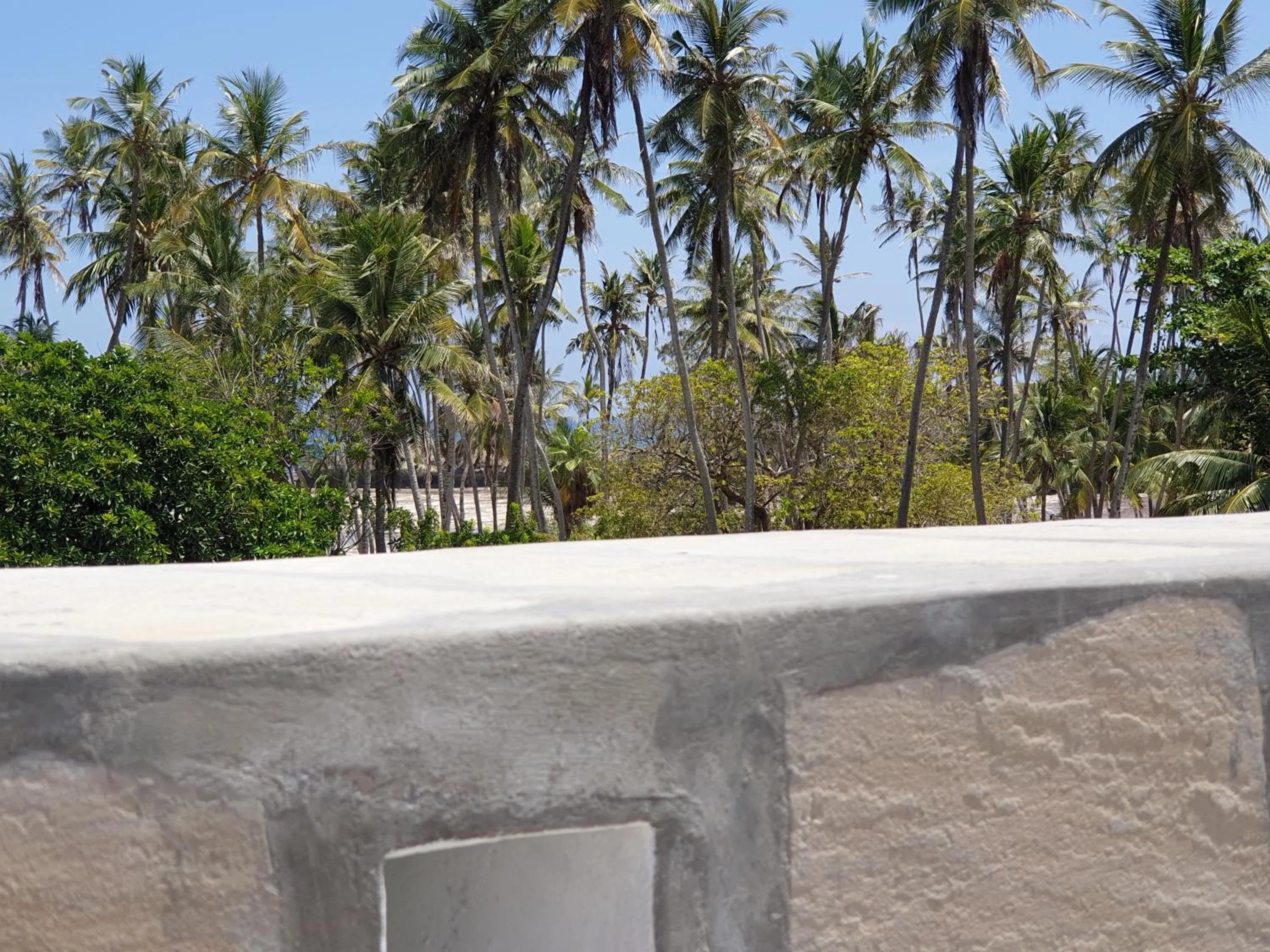 View (from property/room) in Marijani Holiday Resort