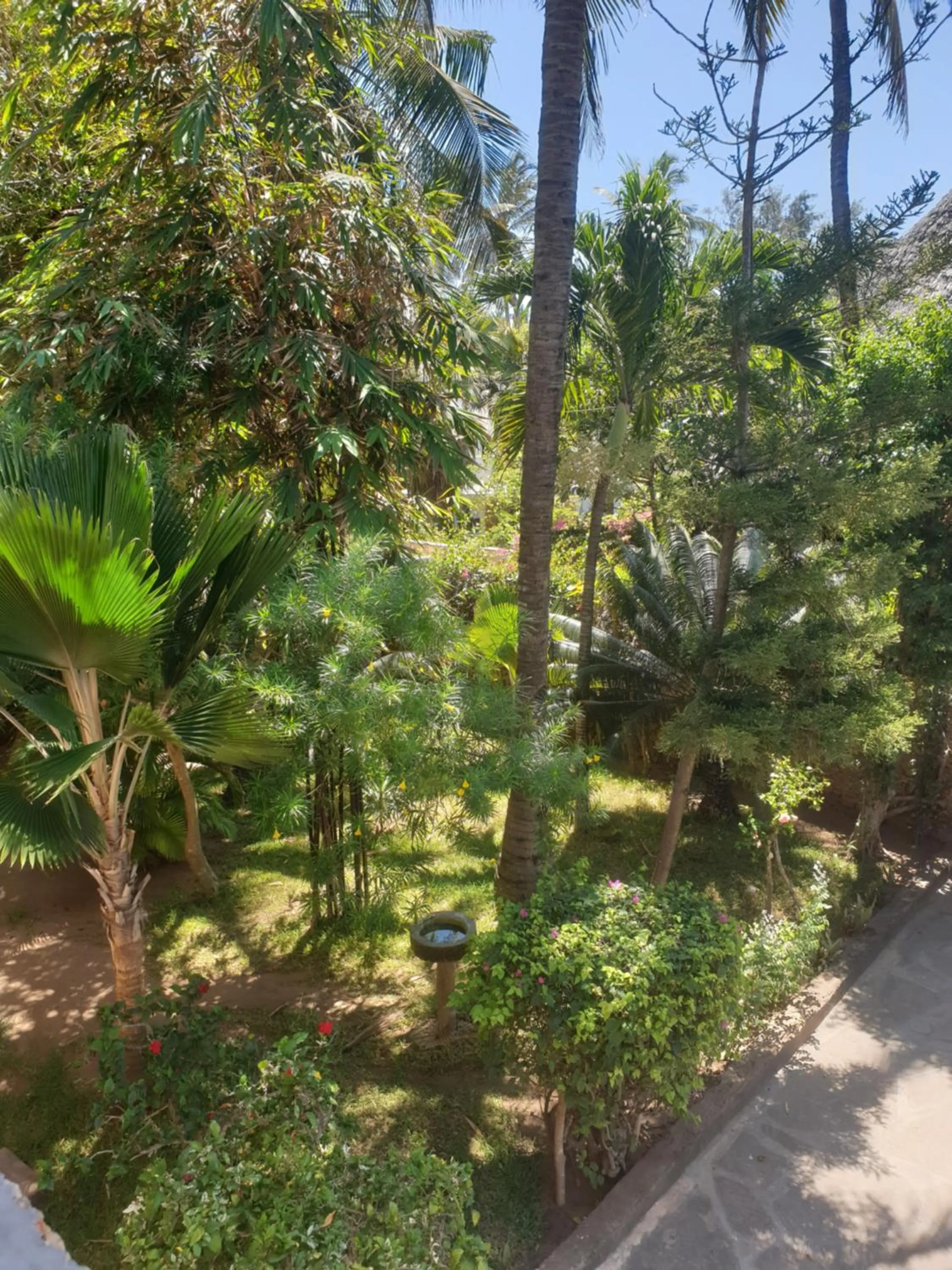 Garden view in Marijani Holiday Resort