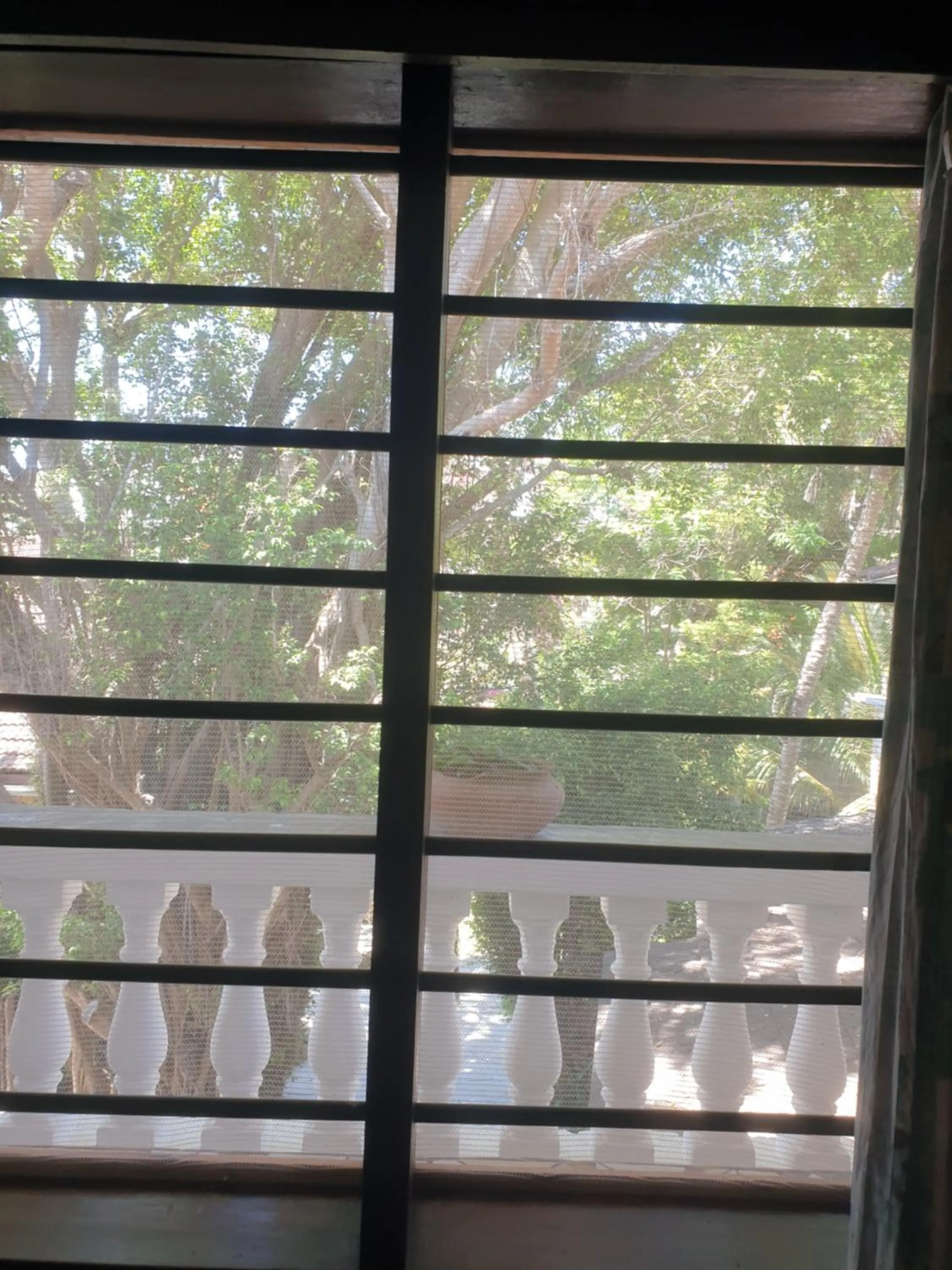 View (from property/room) in Marijani Holiday Resort