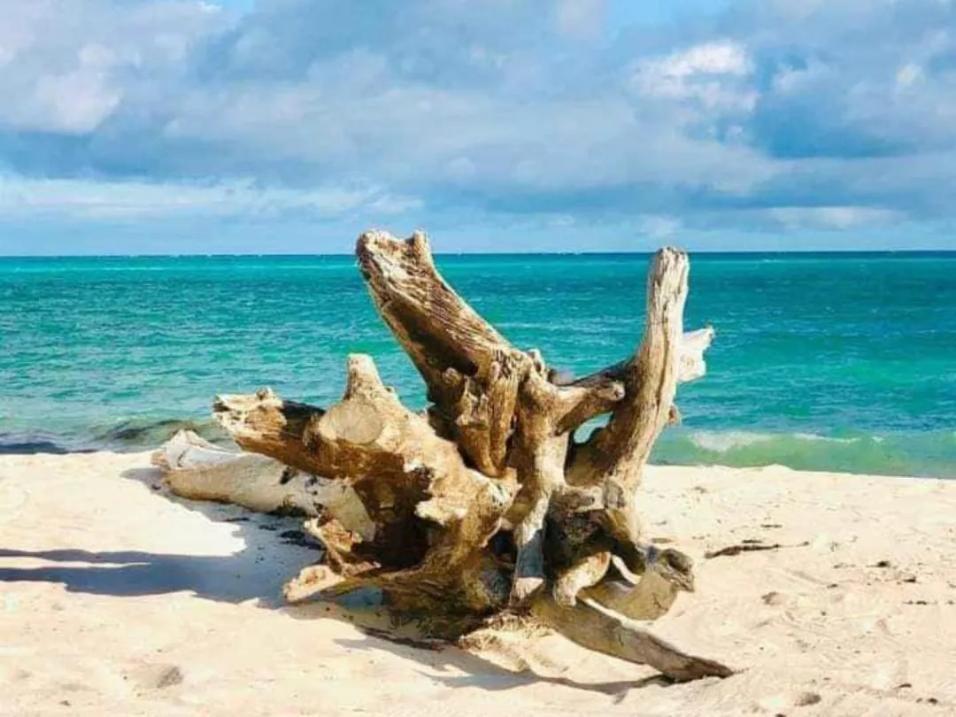 Natural landscape in Marijani Holiday Resort