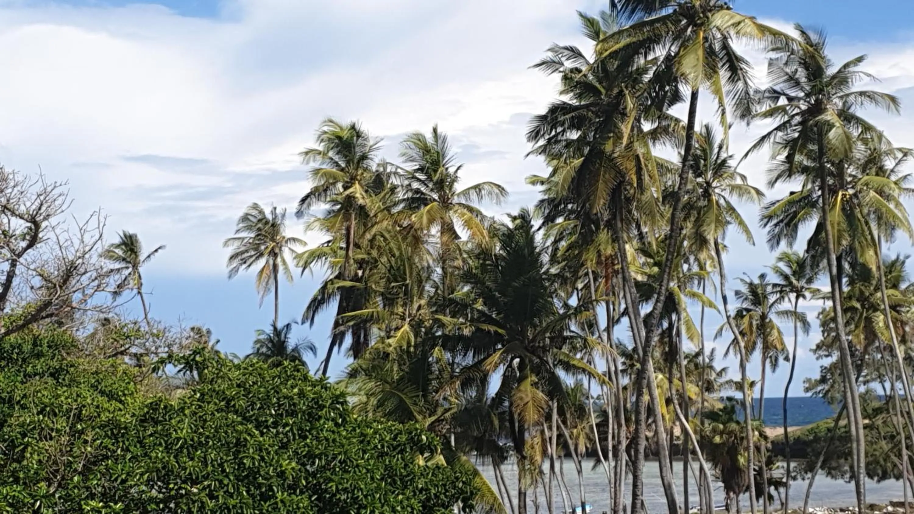 Natural landscape in Marijani Holiday Resort