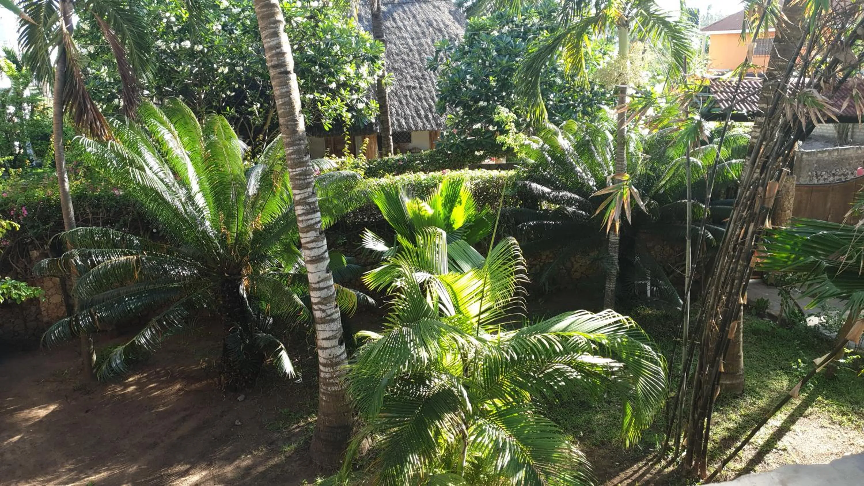 Garden in Marijani Holiday Resort