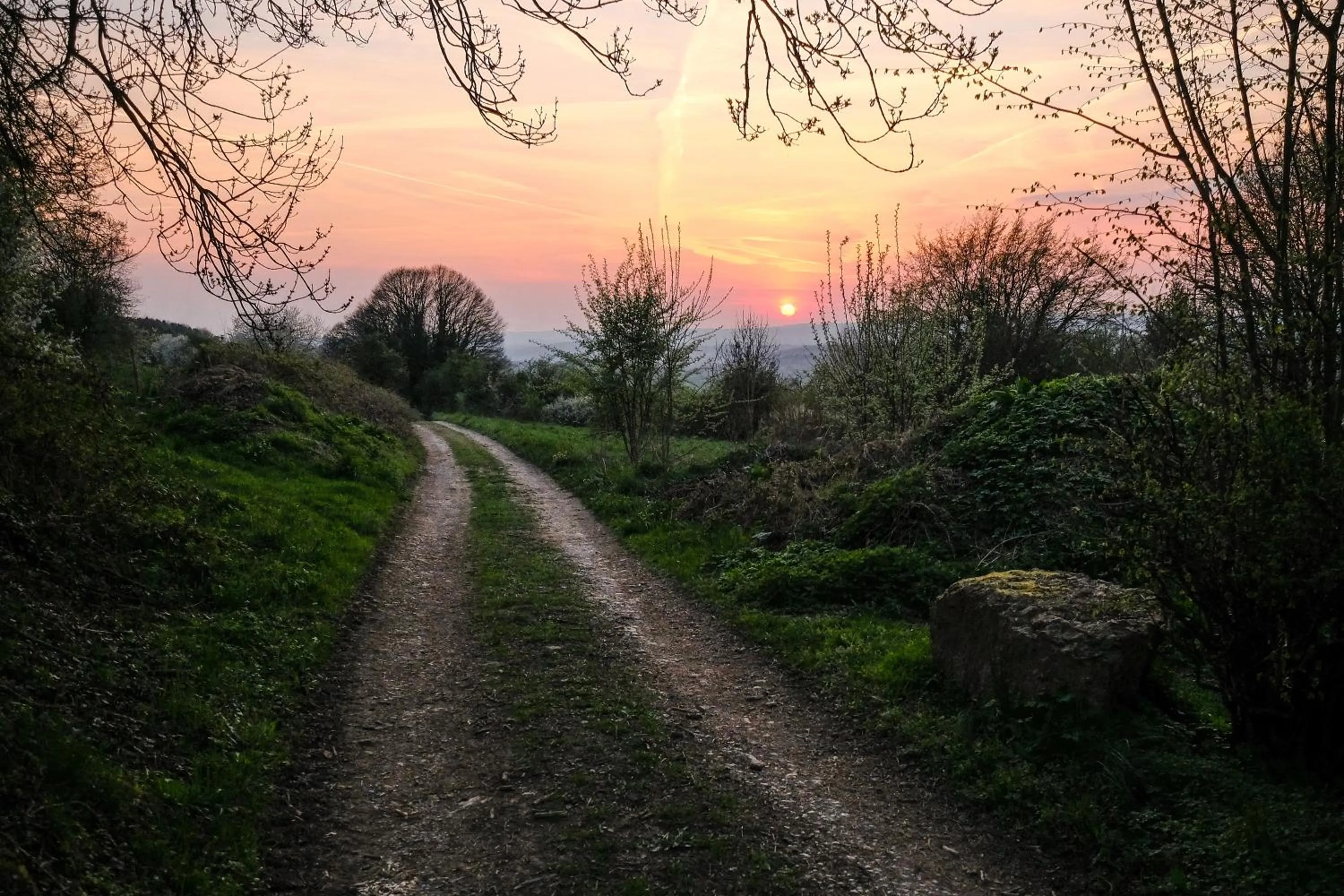 Natural landscape in B&B Maison Honorine
