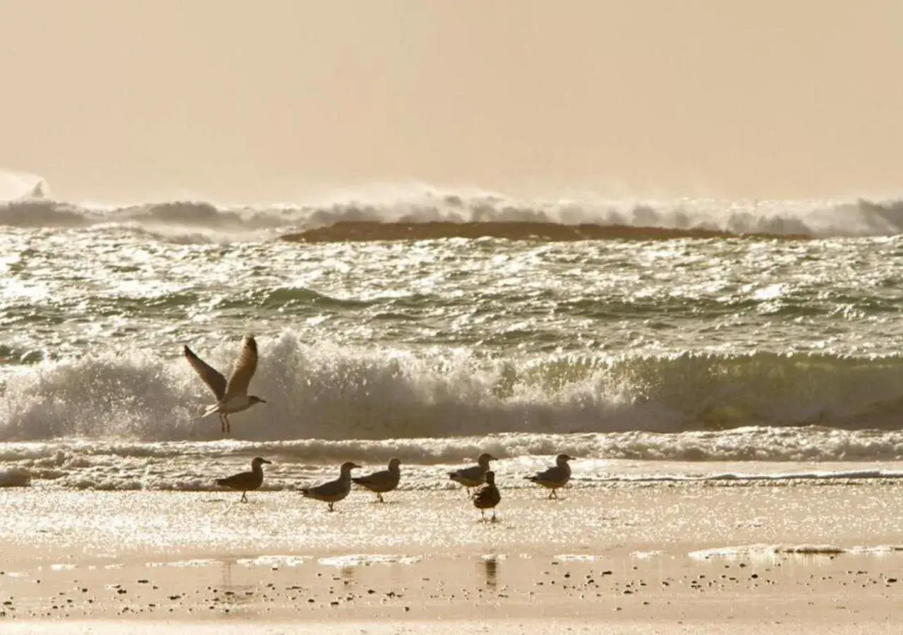 Day in Bayview Hotel Day in Bayview Hotel