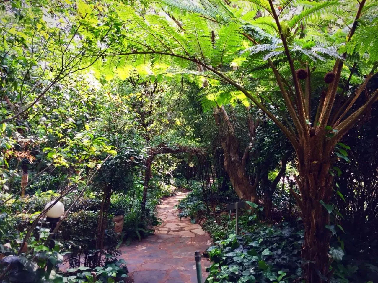 Foxwood House Boutique Hotel