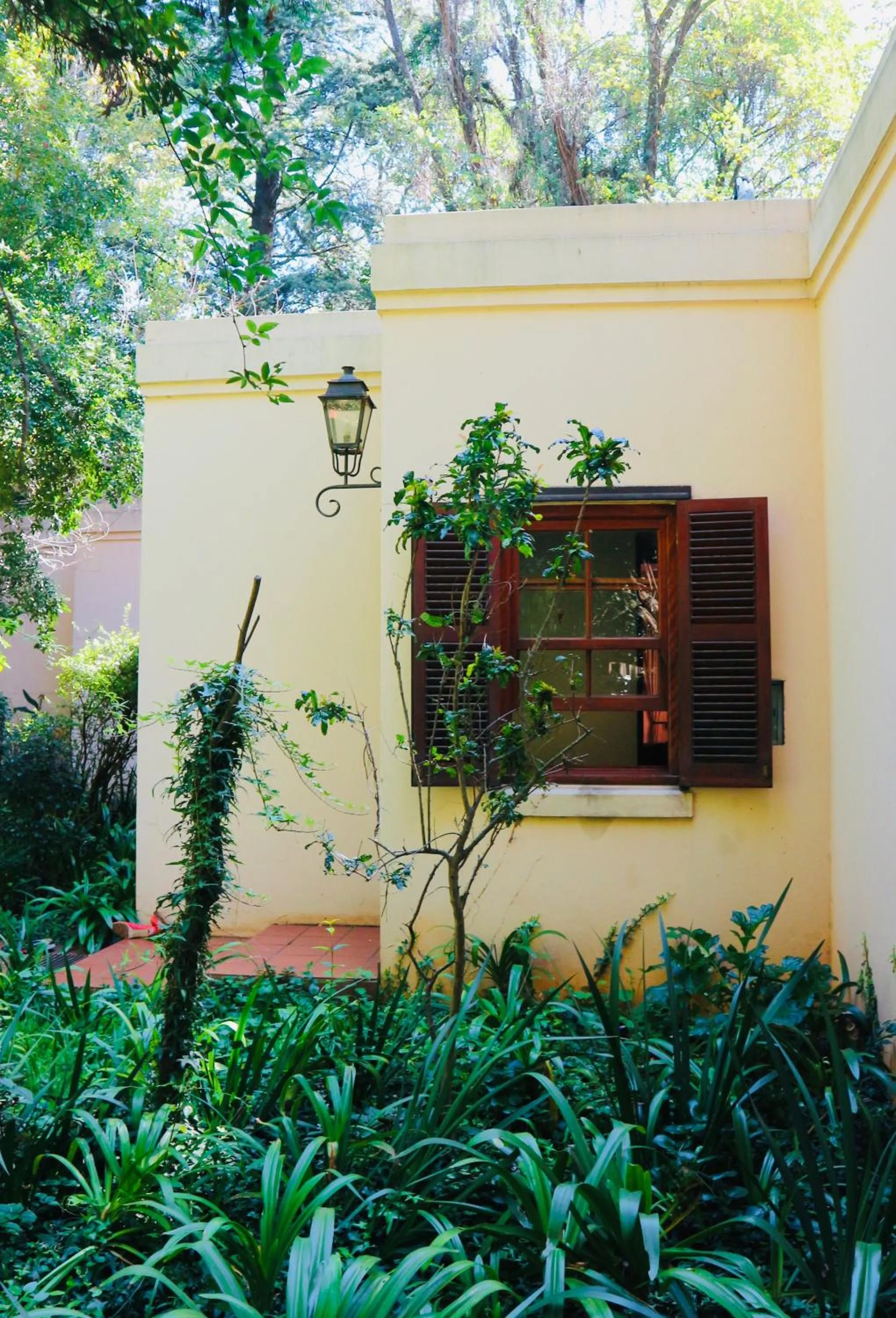 Foxwood House Boutique Hotel