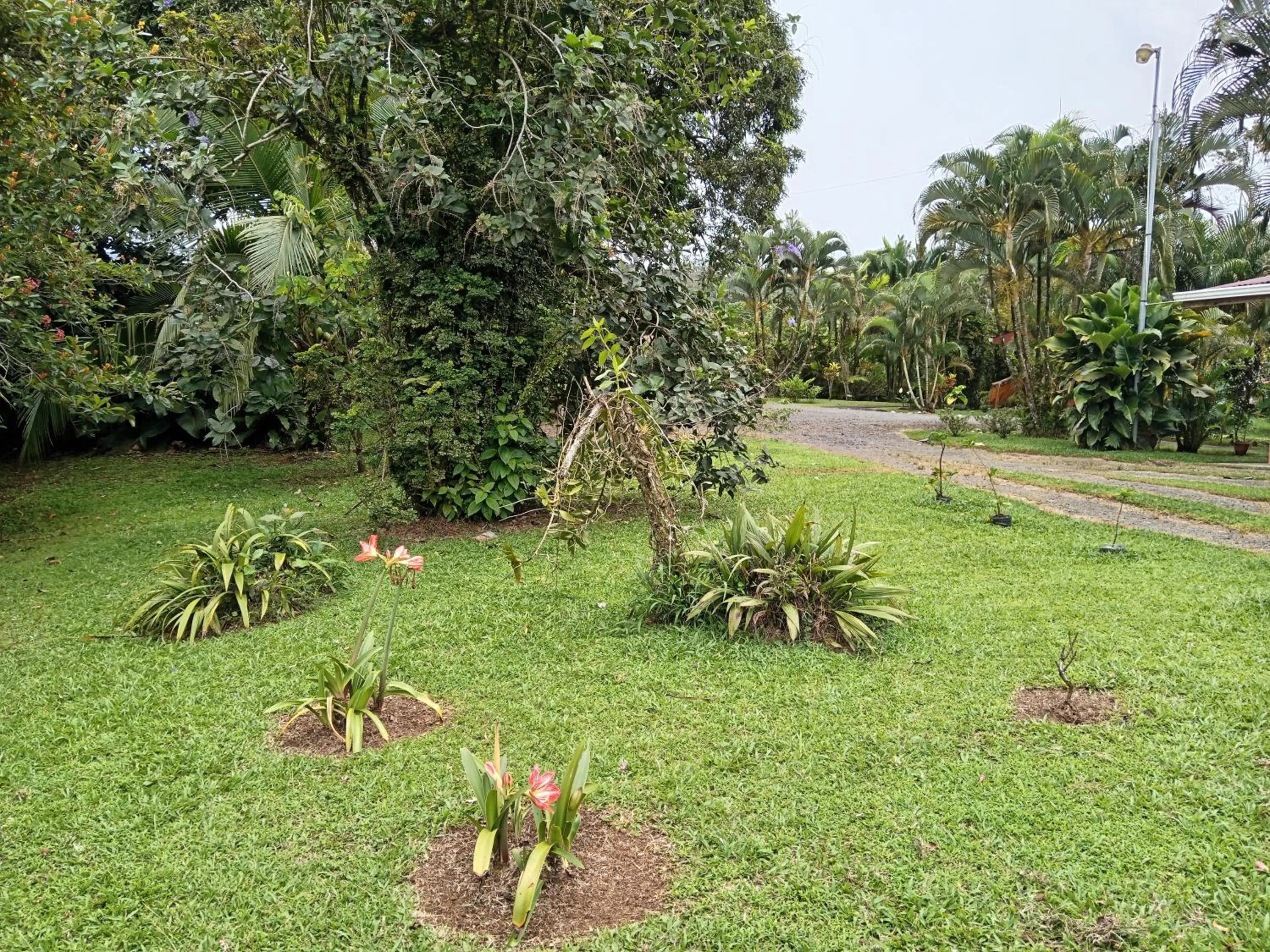 Garden in Posada Rural Río Celeste