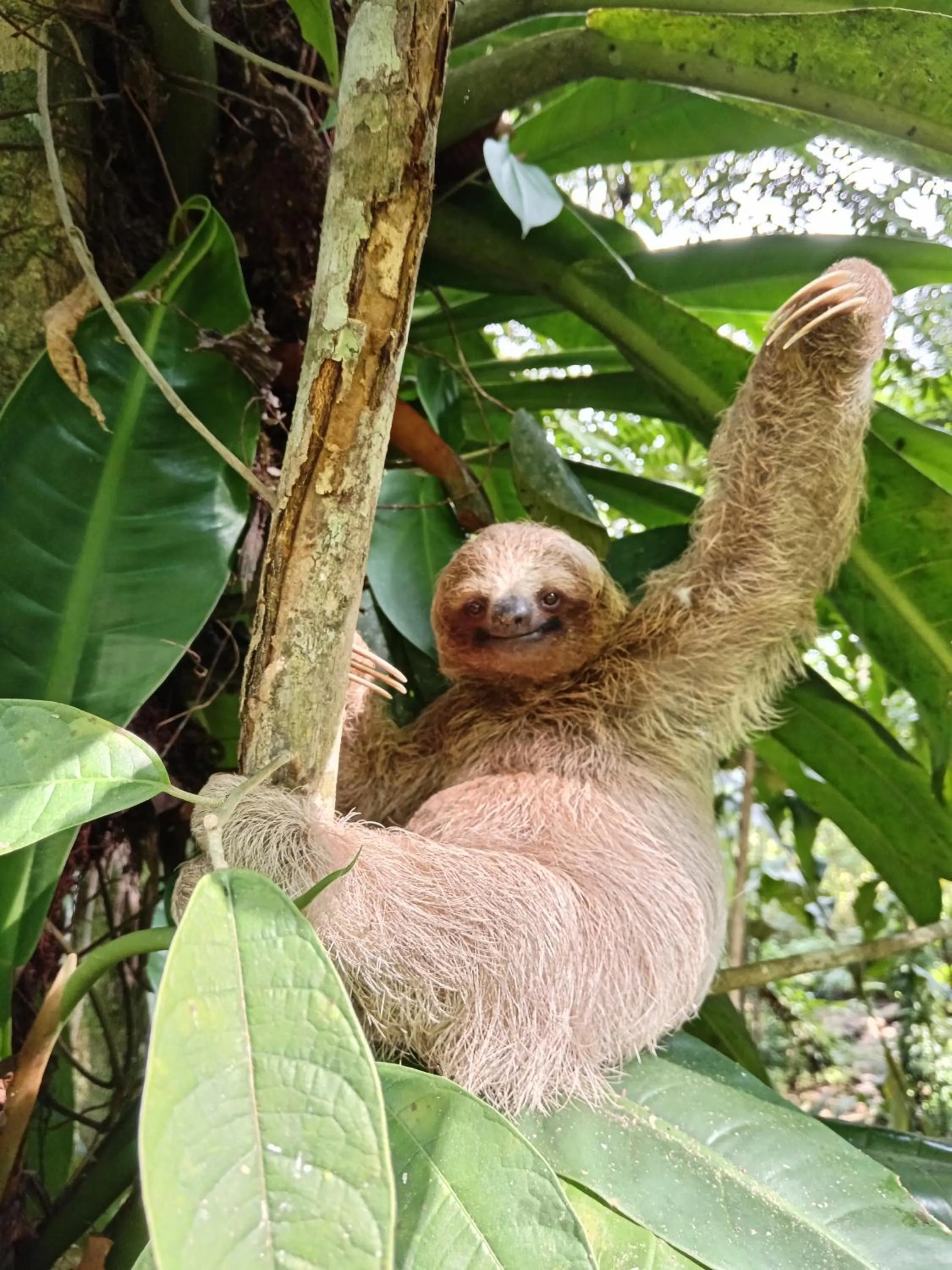 Garden in Posada Rural Río Celeste