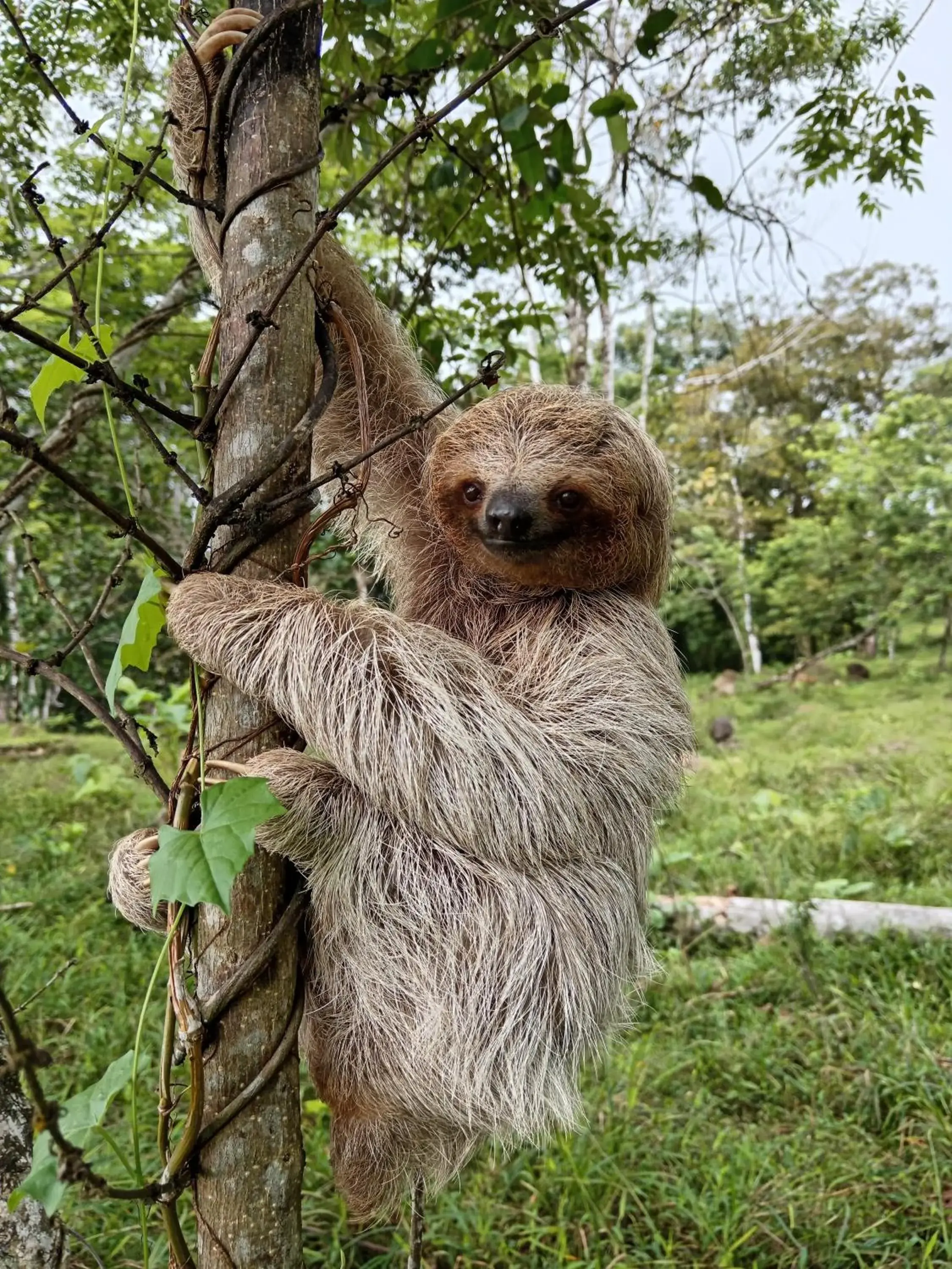 Posada Rural Río Celeste Posada Rural Río Celeste