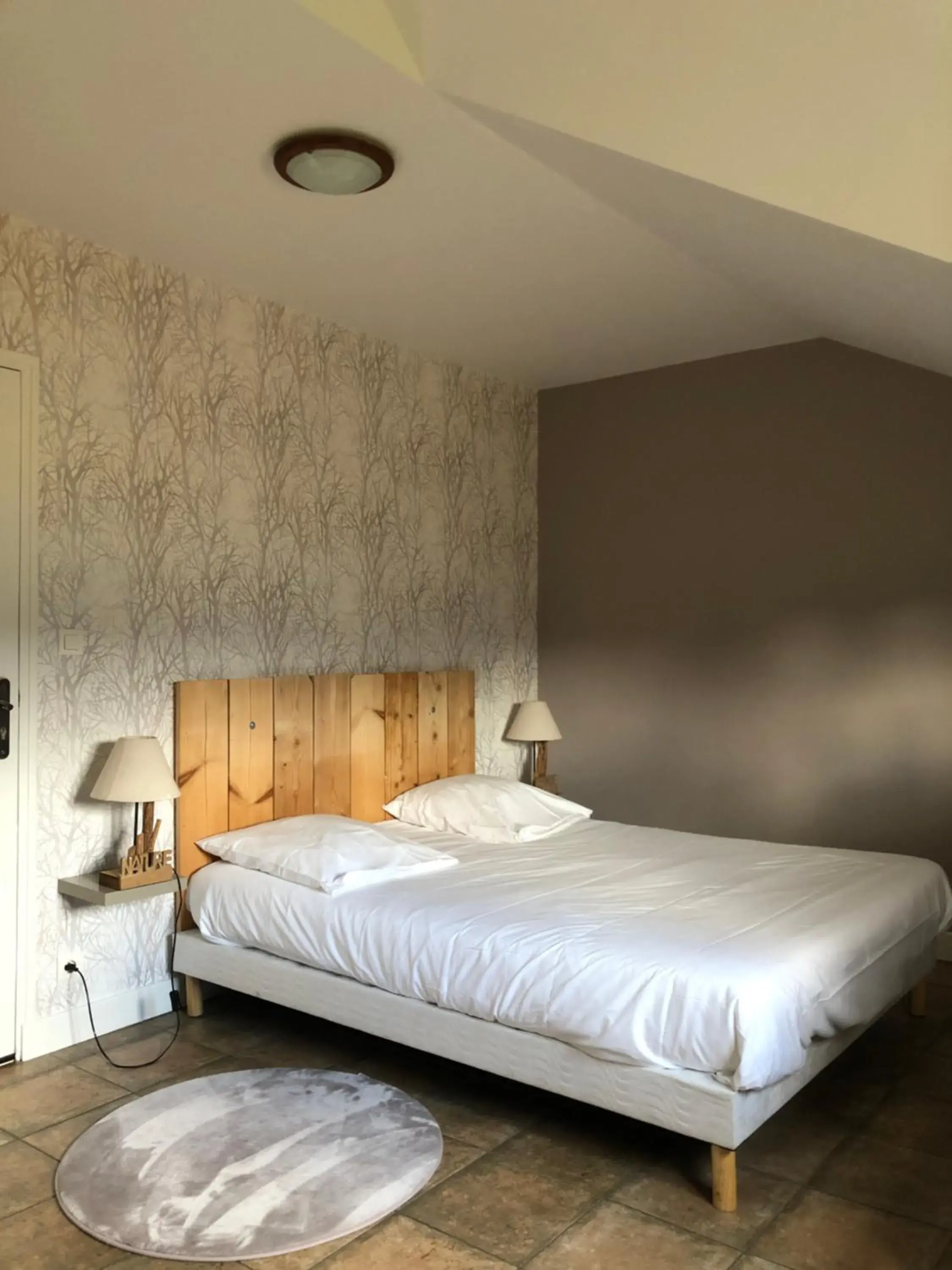 Double Room in Logis Hôtel Volcan Sancy Double Room in Logis Hôtel Volcan Sancy