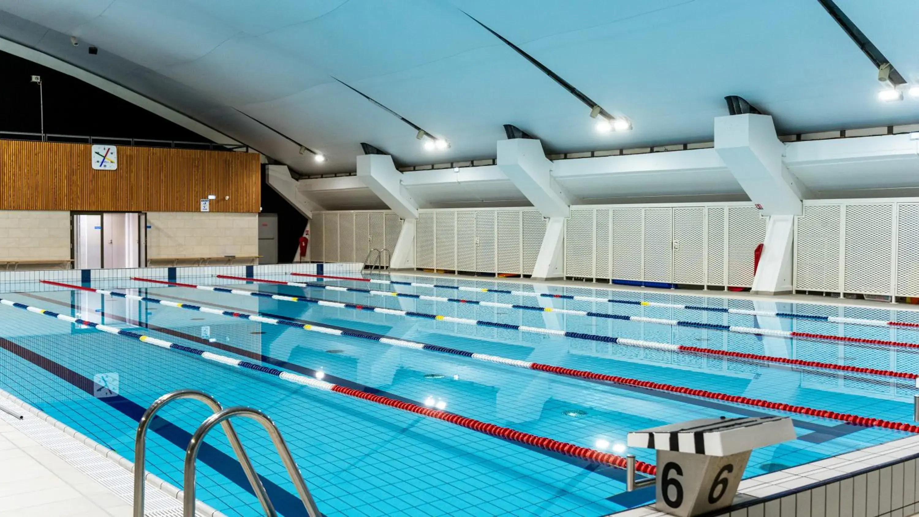 Swimming pool in The Jangle Hotel - Paris - Charles de Gaulle - Airport Swimming pool in The Jangle Hotel - Paris - Charles de Gaulle - Airport