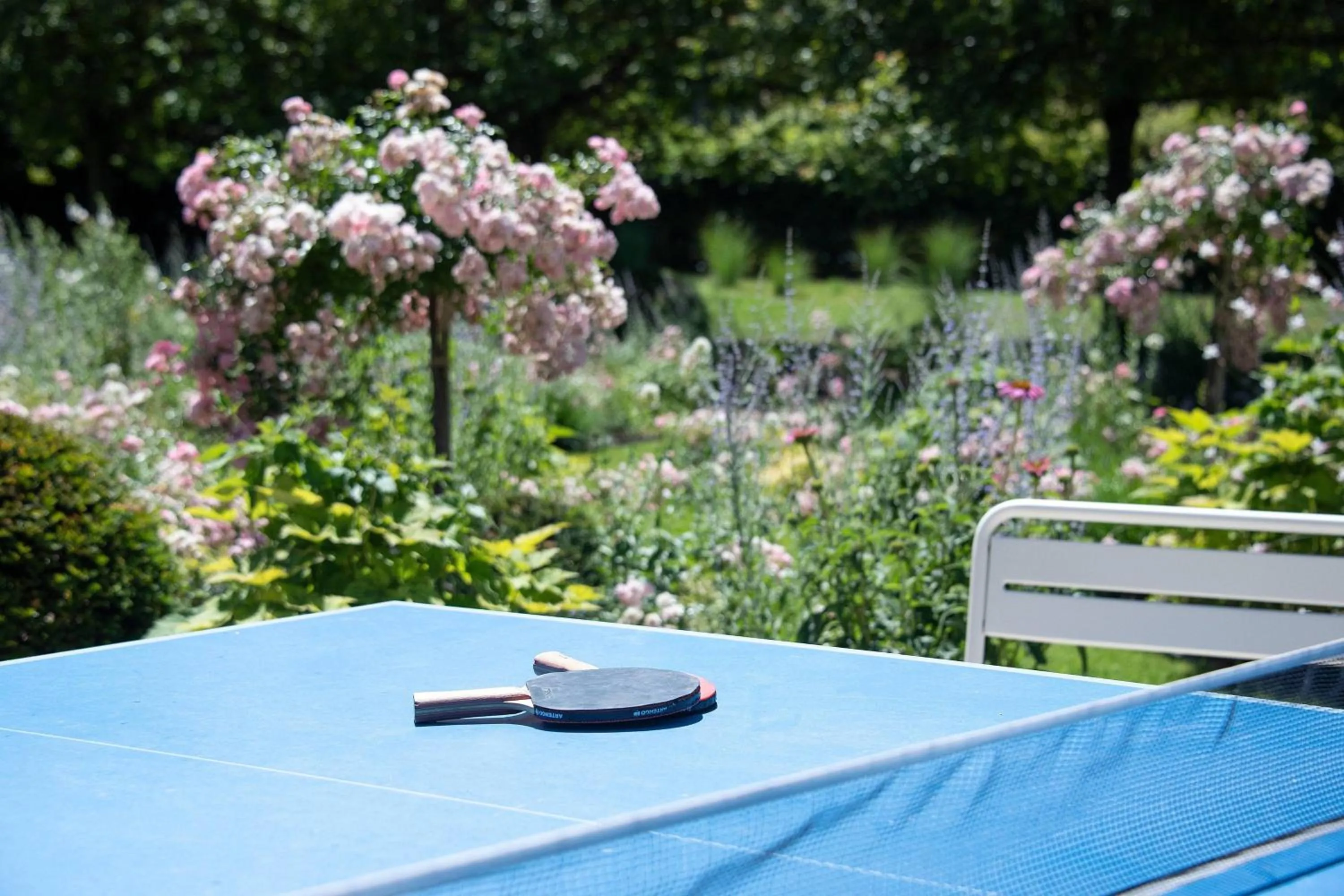 Table tennis in The Jangle Hotel - Paris - Charles de Gaulle - Airport