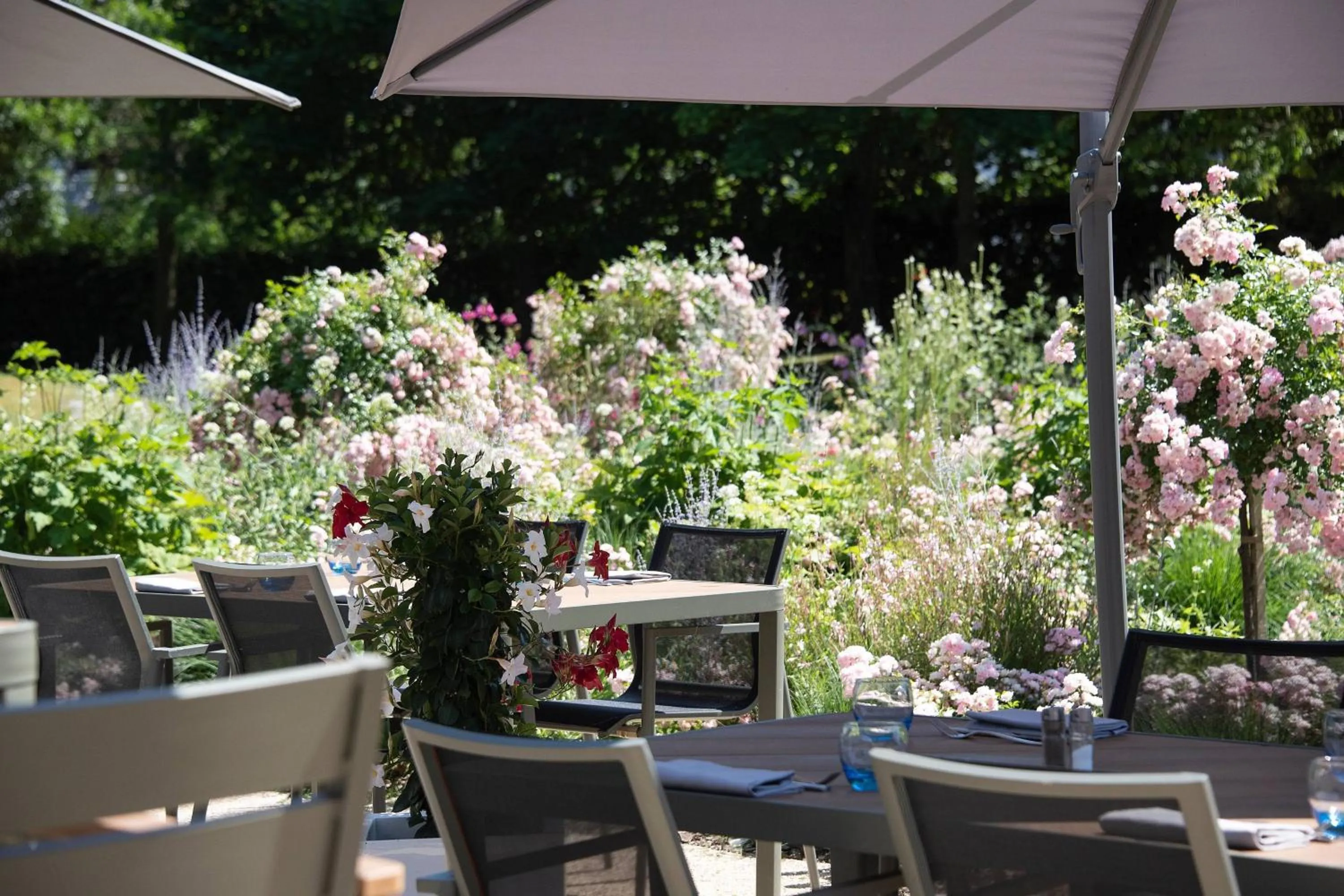 Restaurant/places to eat in The Jangle Hotel - Paris - Charles de Gaulle - Airport