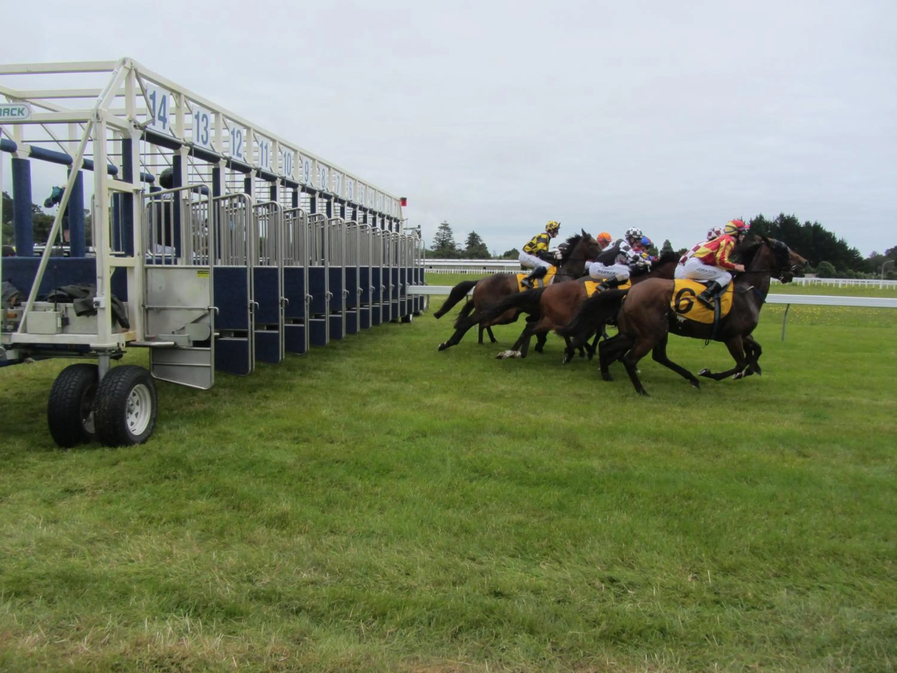 Entertainment in Welbourn Accommodation