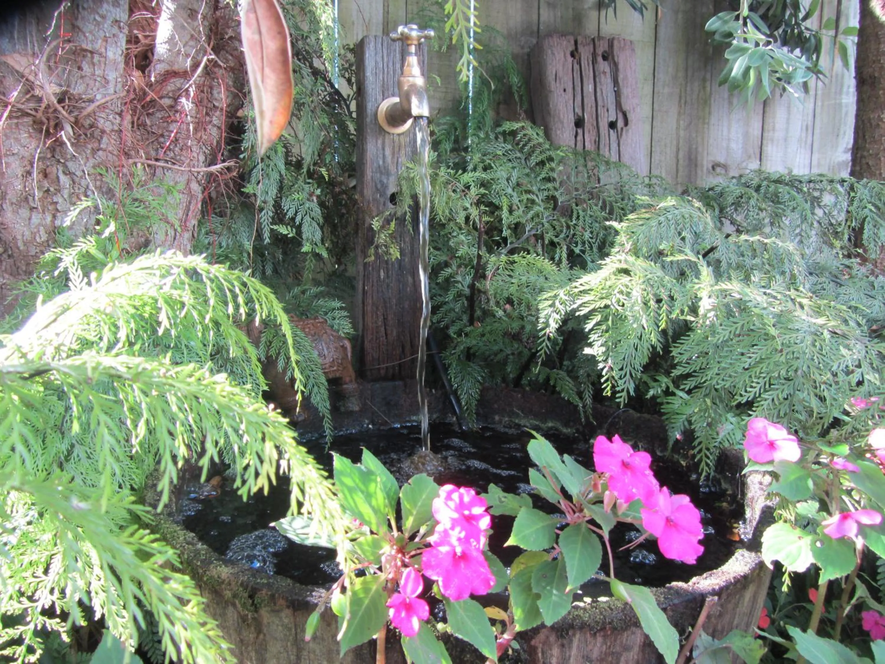 Garden in Welbourn Accommodation