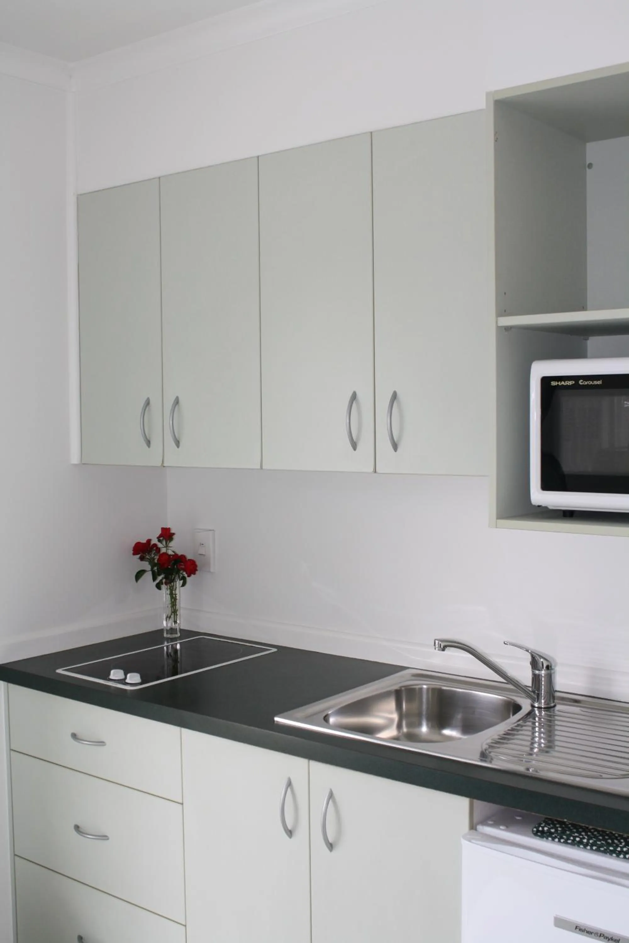 Kitchen or kitchenette in Kerry Lane Motel