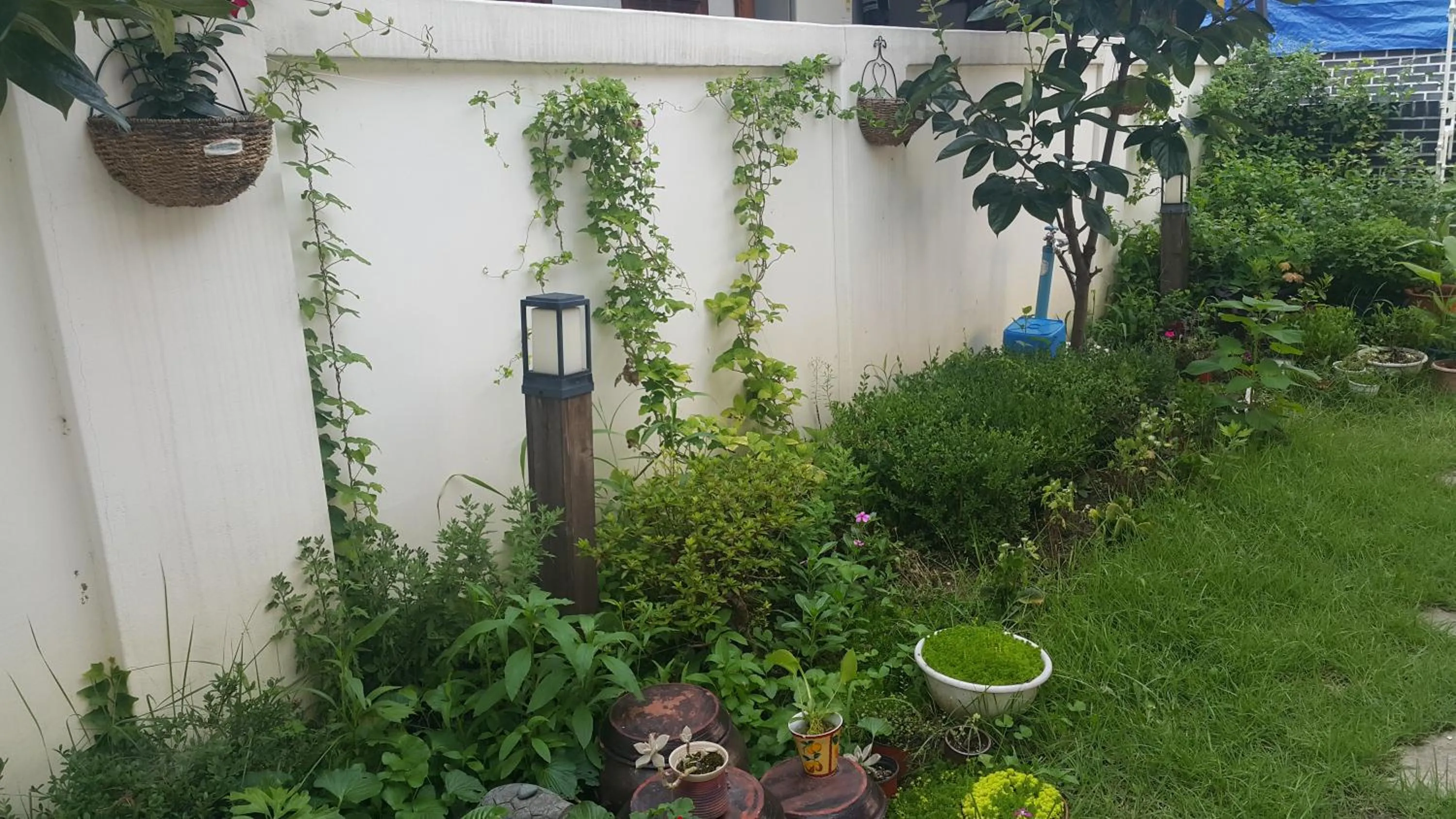 Garden view in Jeonju Nostalgic Home