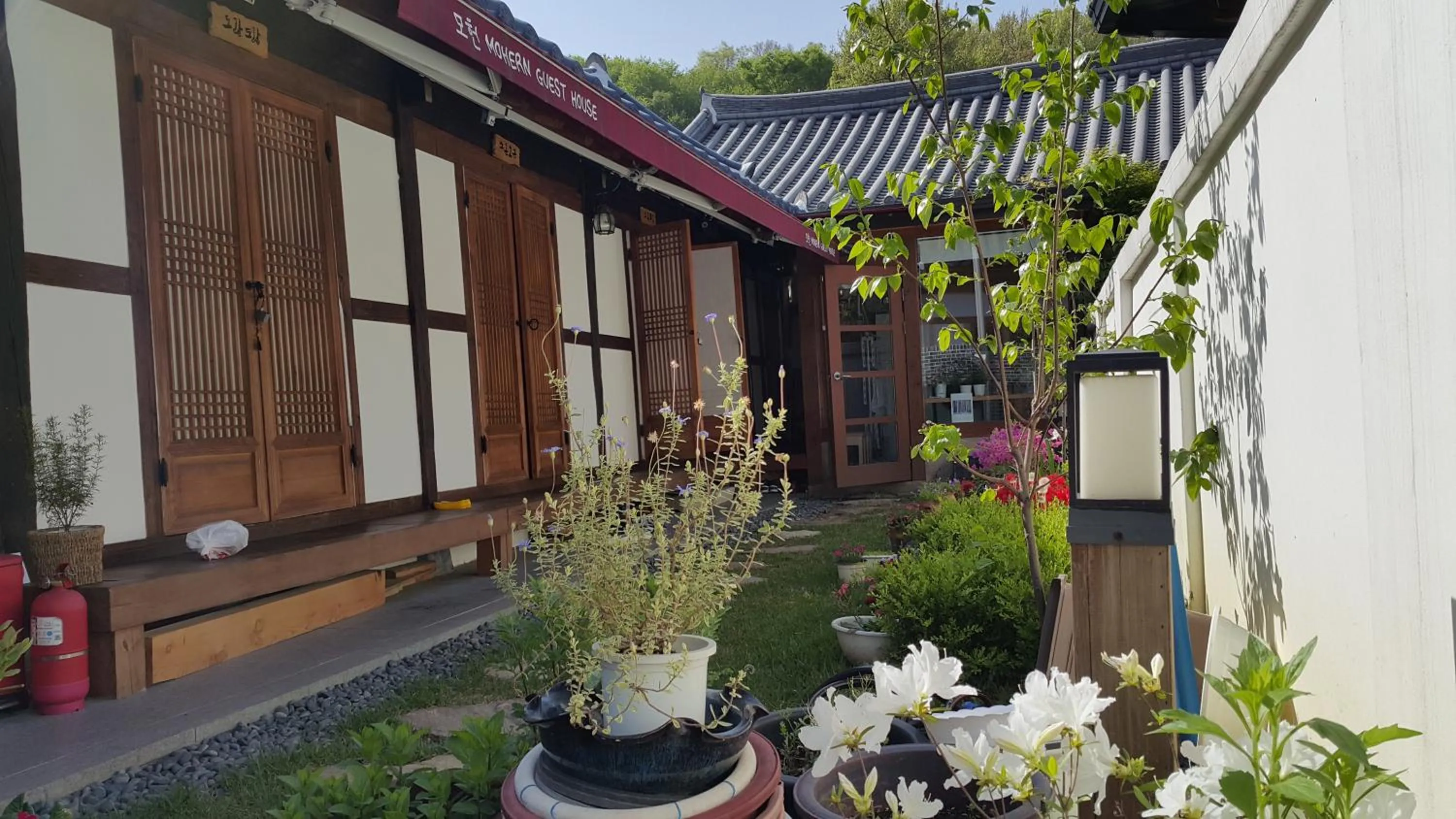 Garden view in Jeonju Nostalgic Home