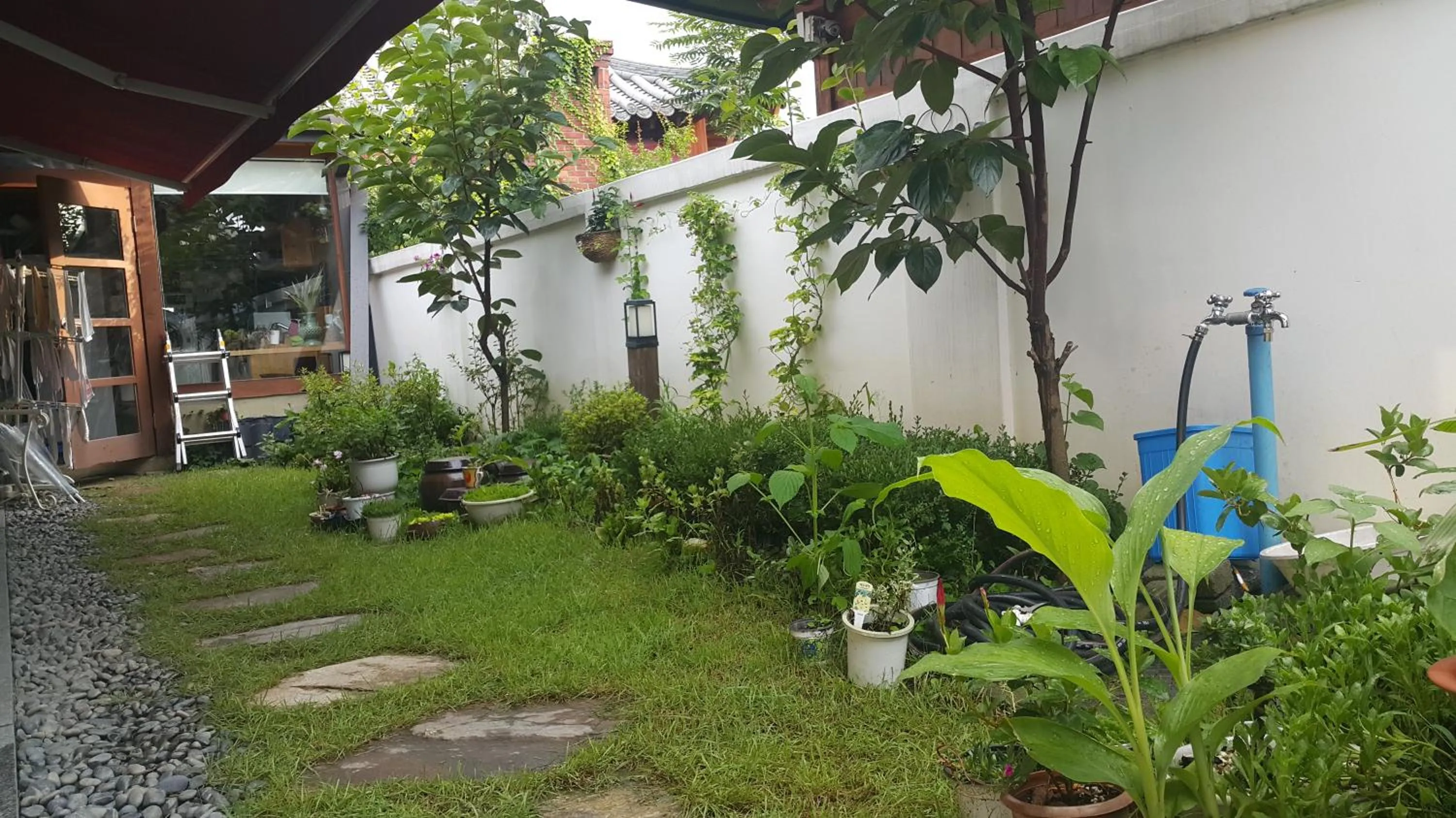 Garden in Jeonju Nostalgic Home
