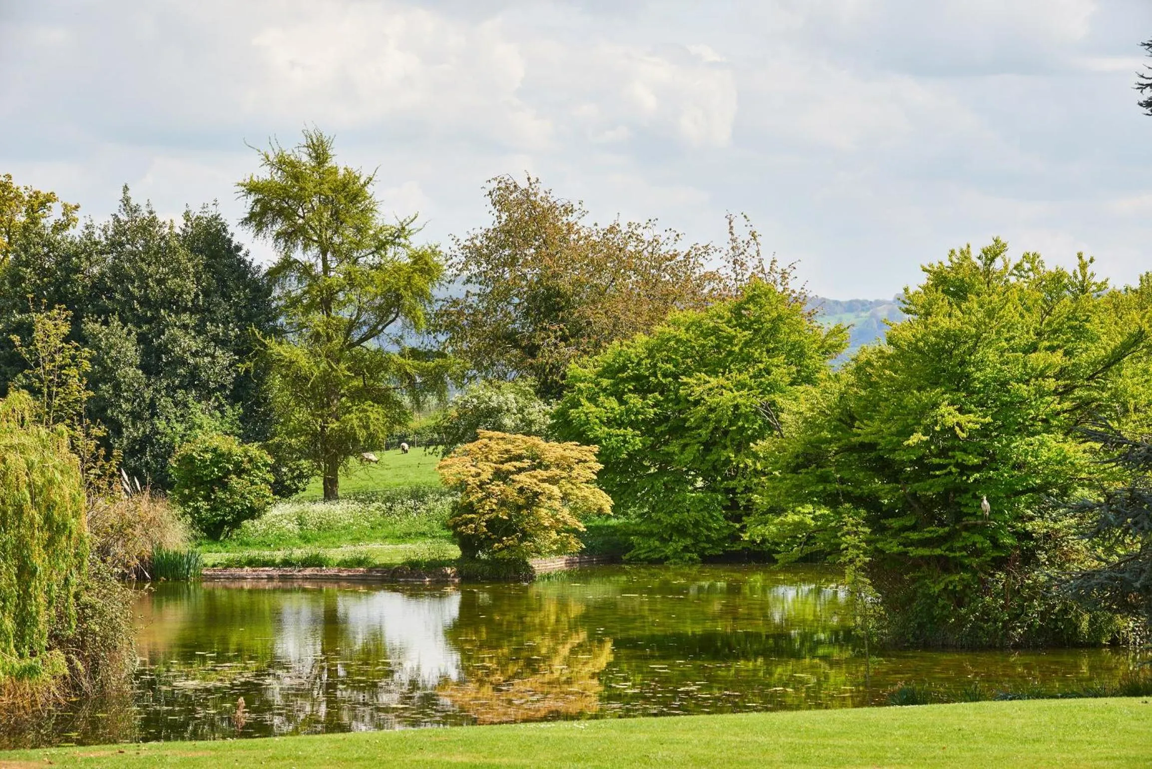 Garden in Dumbleton Hall Hotel