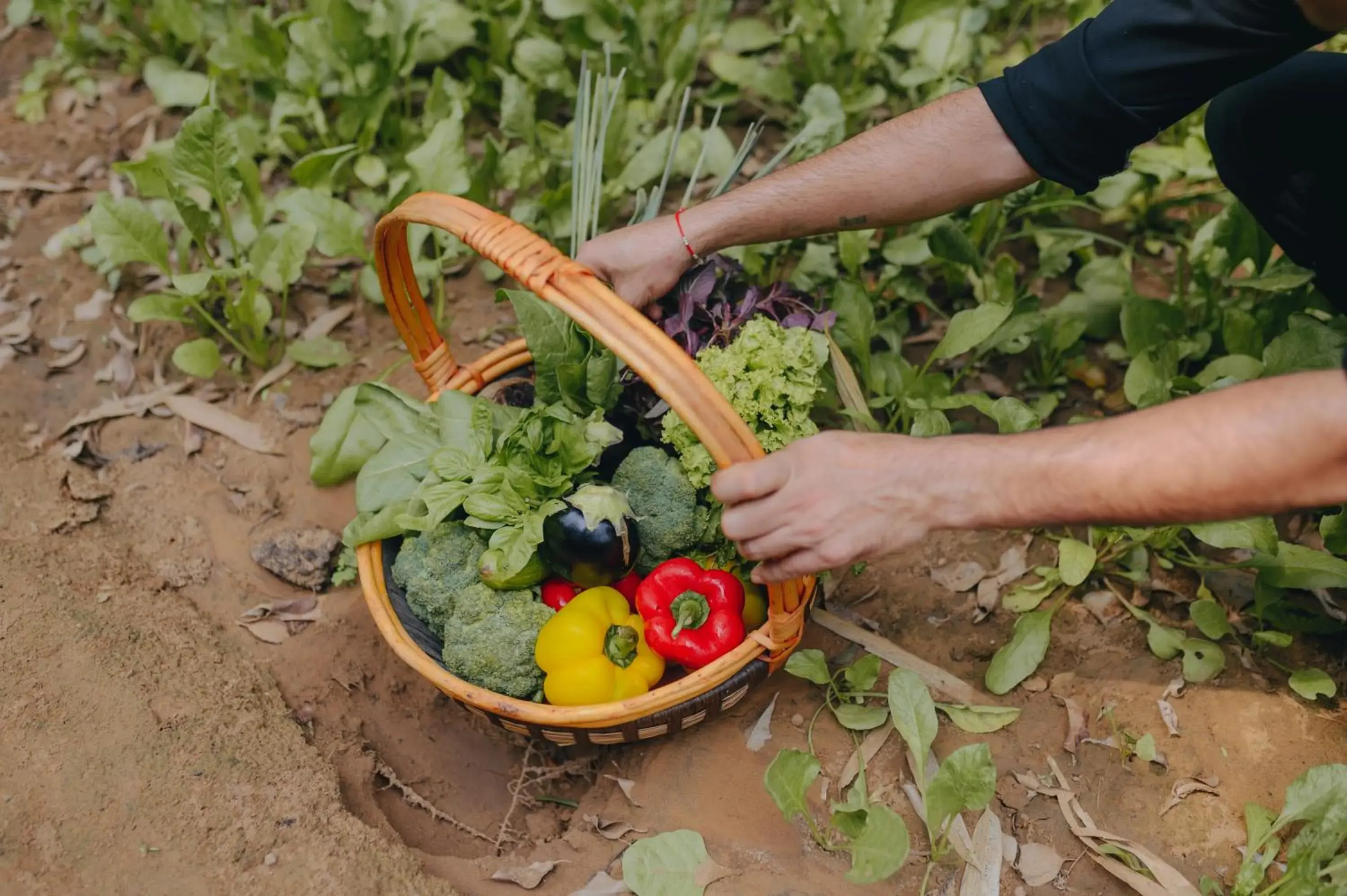 Restaurant/places to eat in Karma Chalets Restaurant/places to eat in Karma Chalets