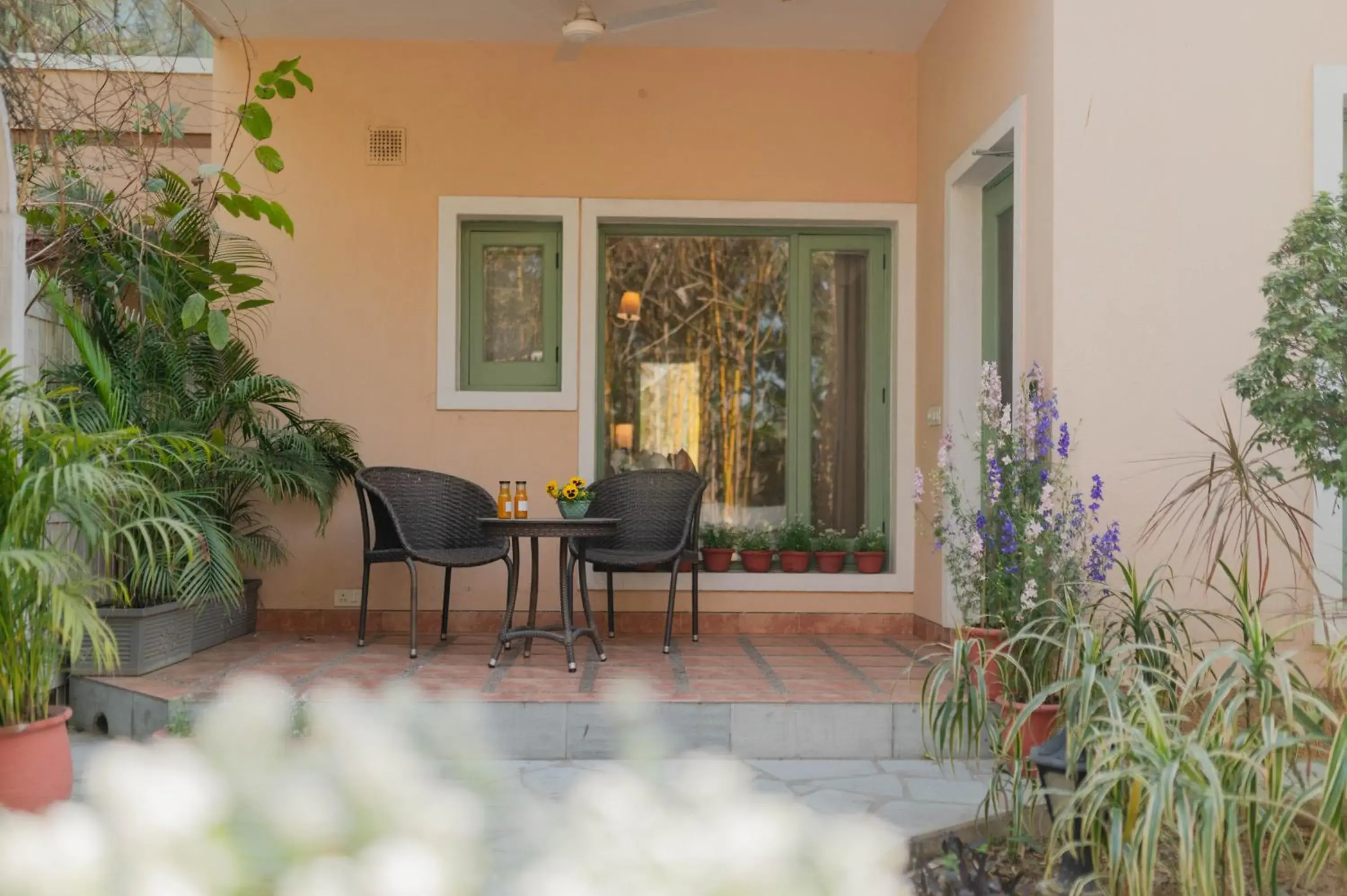 Garden view in Karma Chalets Garden view in Karma Chalets