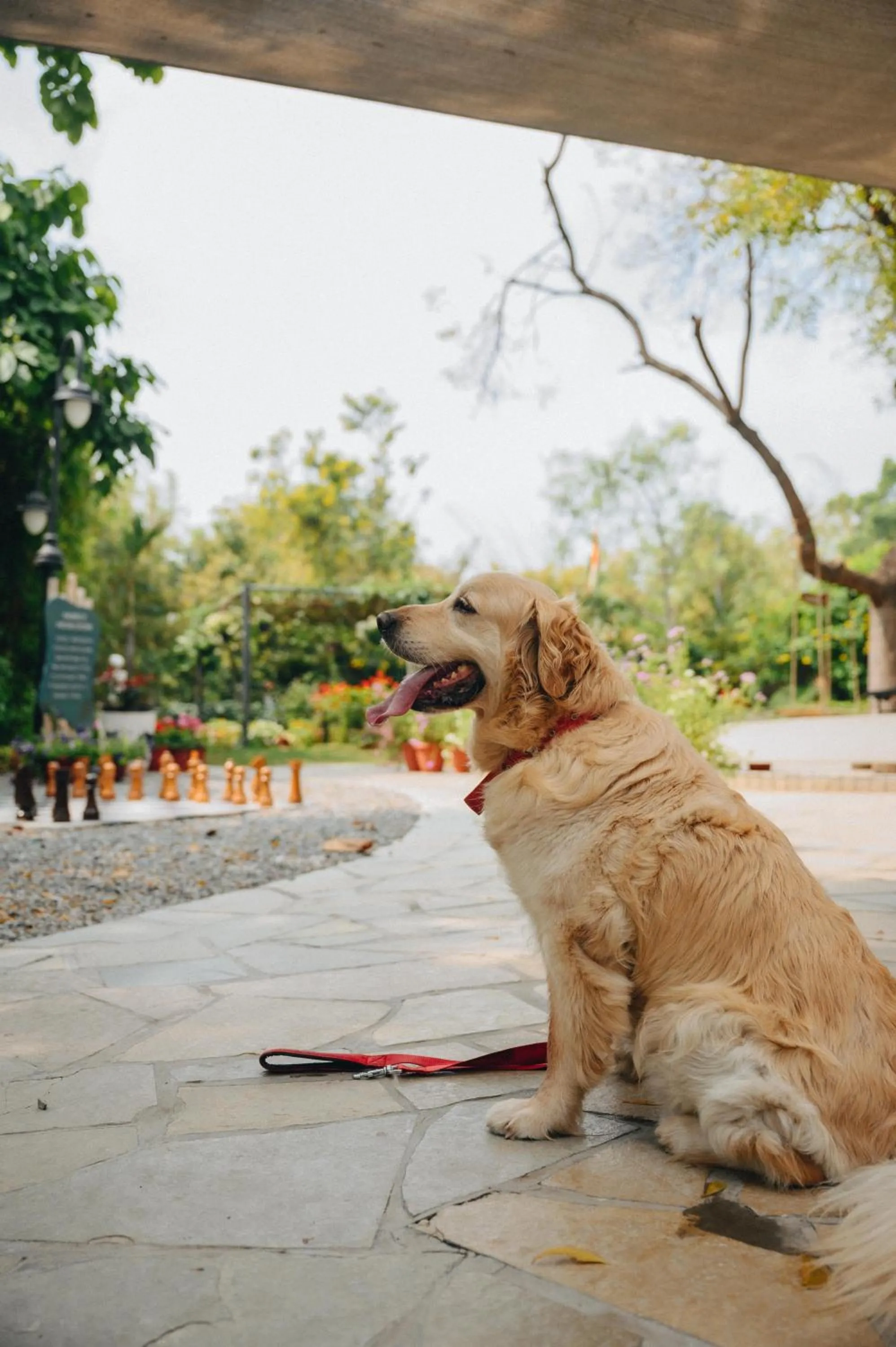 Restaurant/places to eat in Karma Chalets