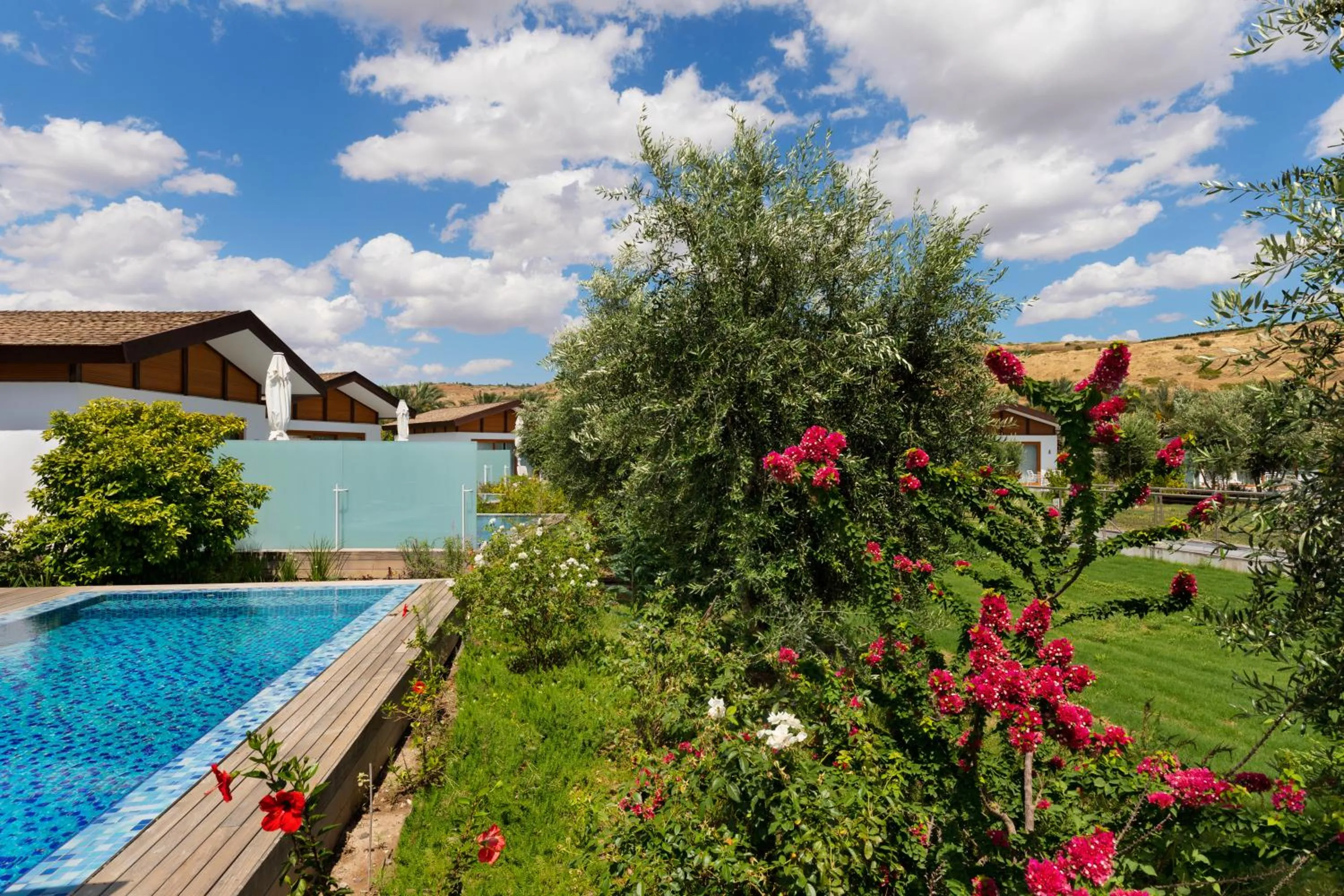 Garden in The Setai Sea Of Galilee